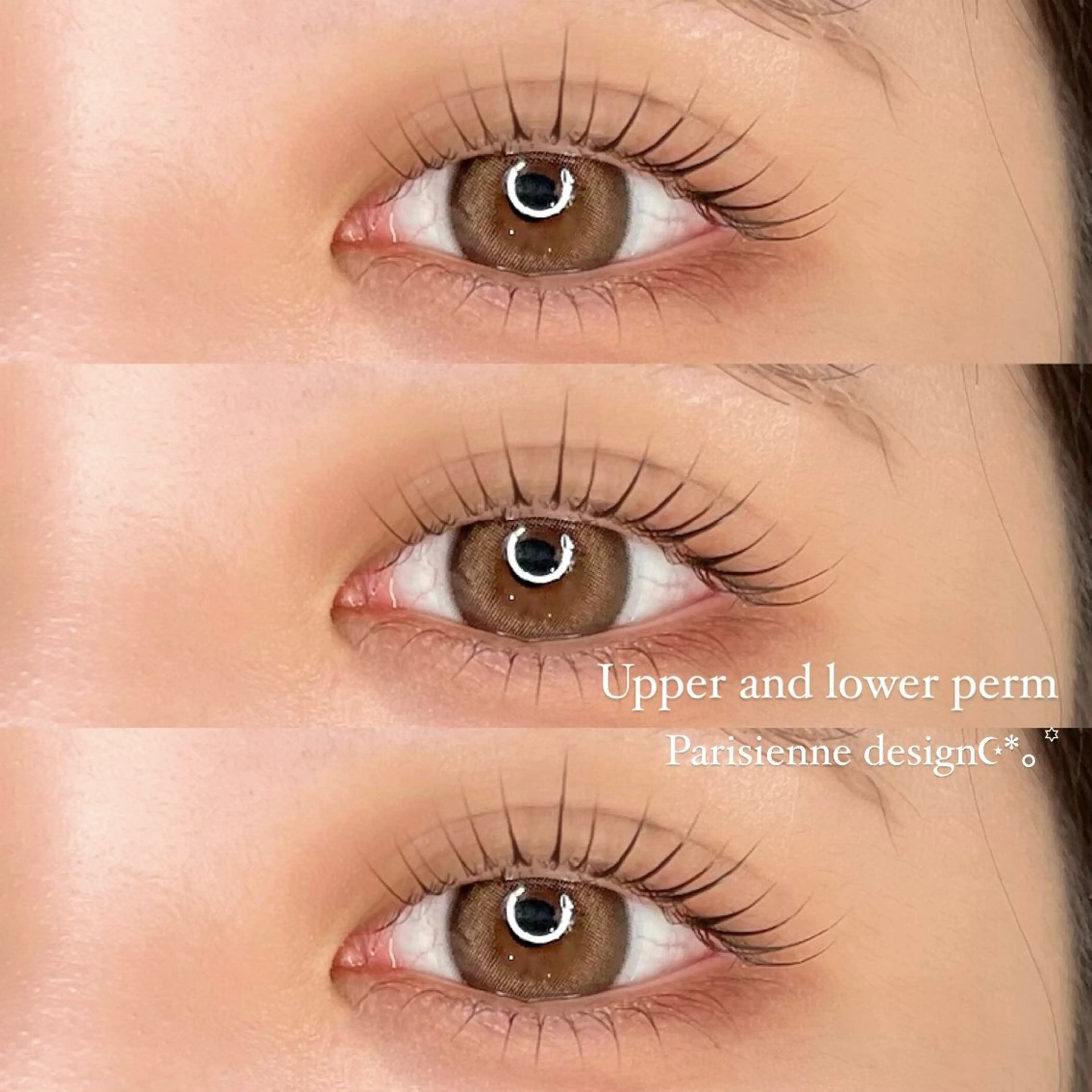 🎀上下パリジェンヌラッシュリフト➕束感コーティング仕上げ୨୧の写真