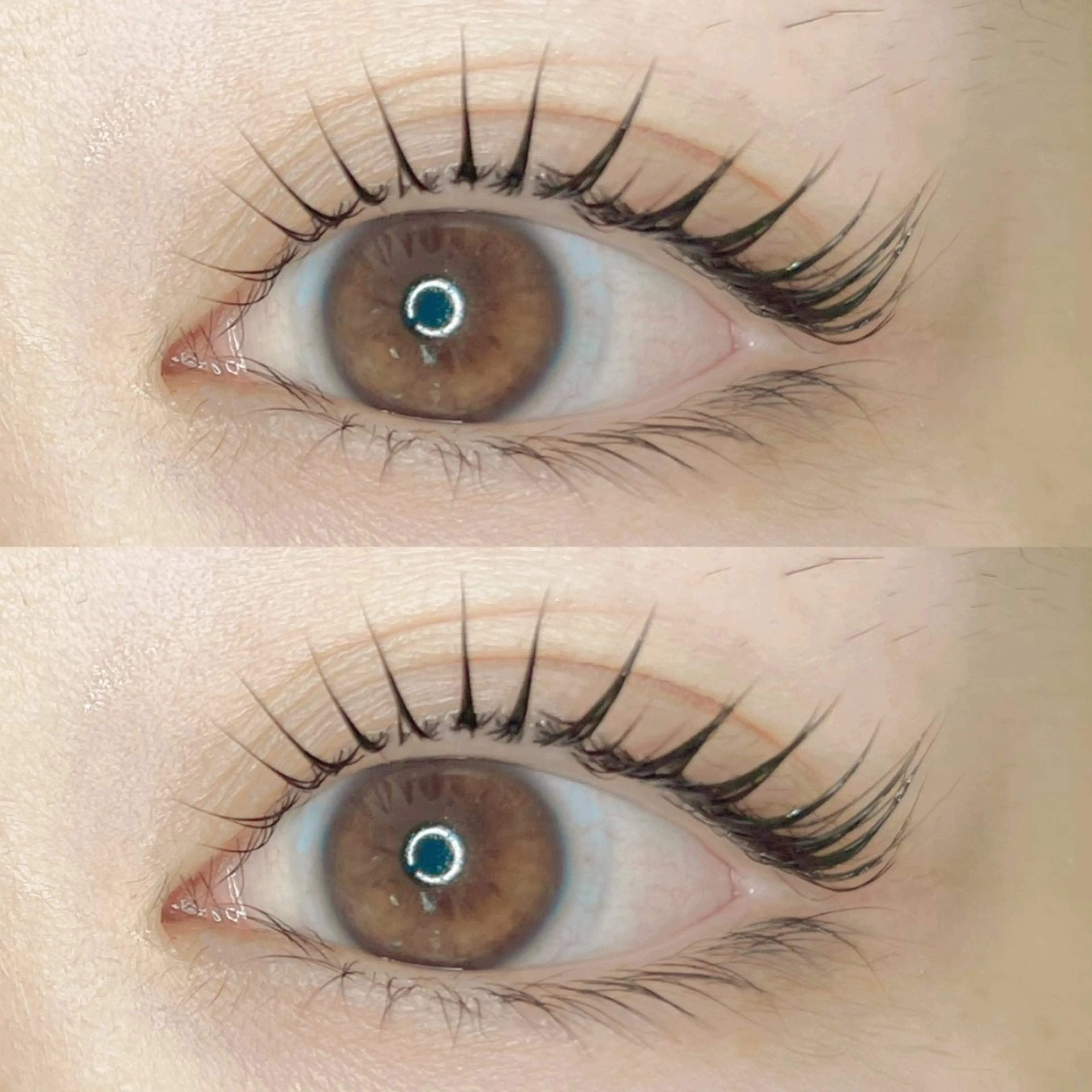 🩵2回目以降＊パリジェンヌ🩵の写真