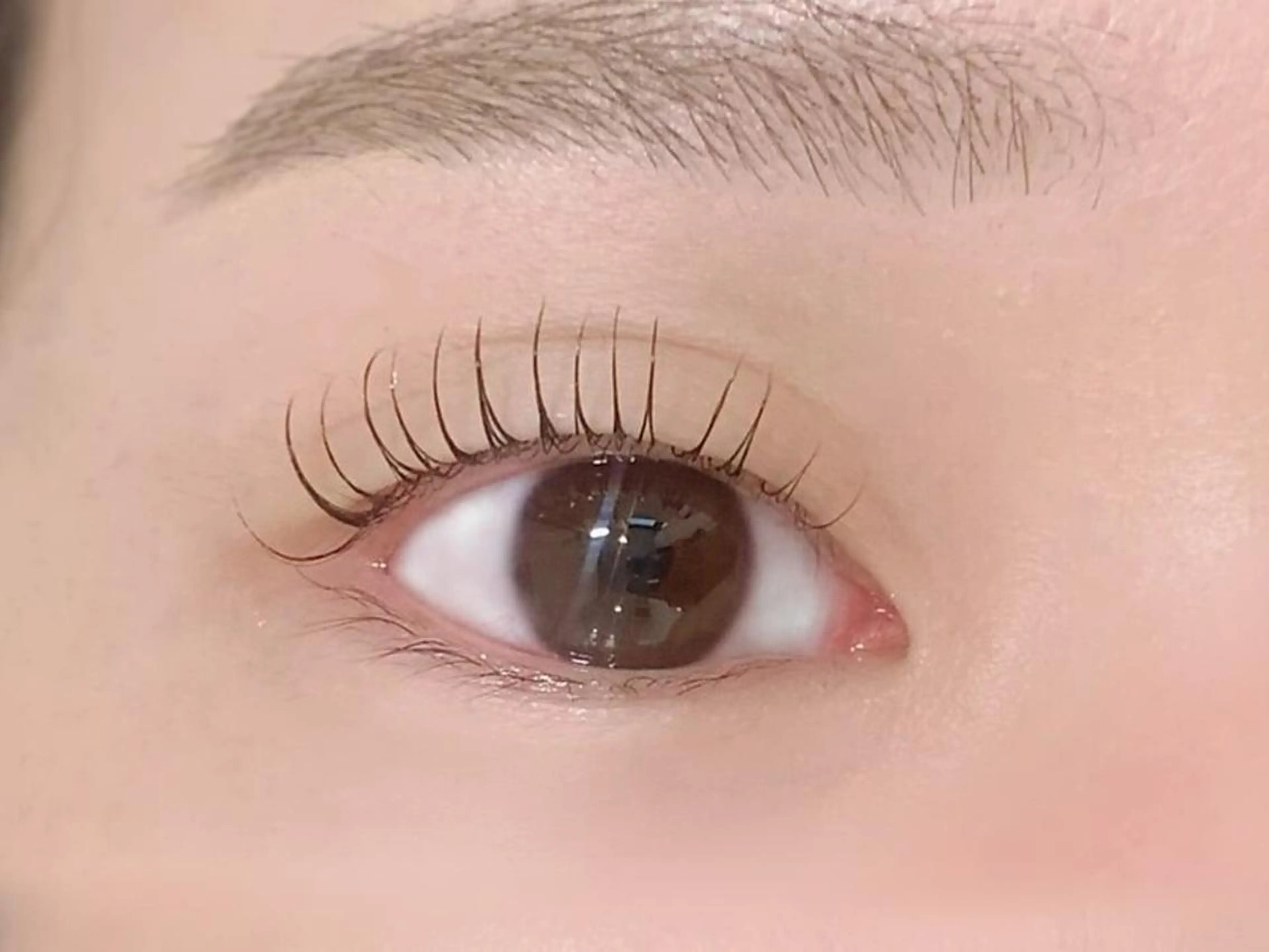 まつげパーマ or パリジェンヌ ¥550の写真