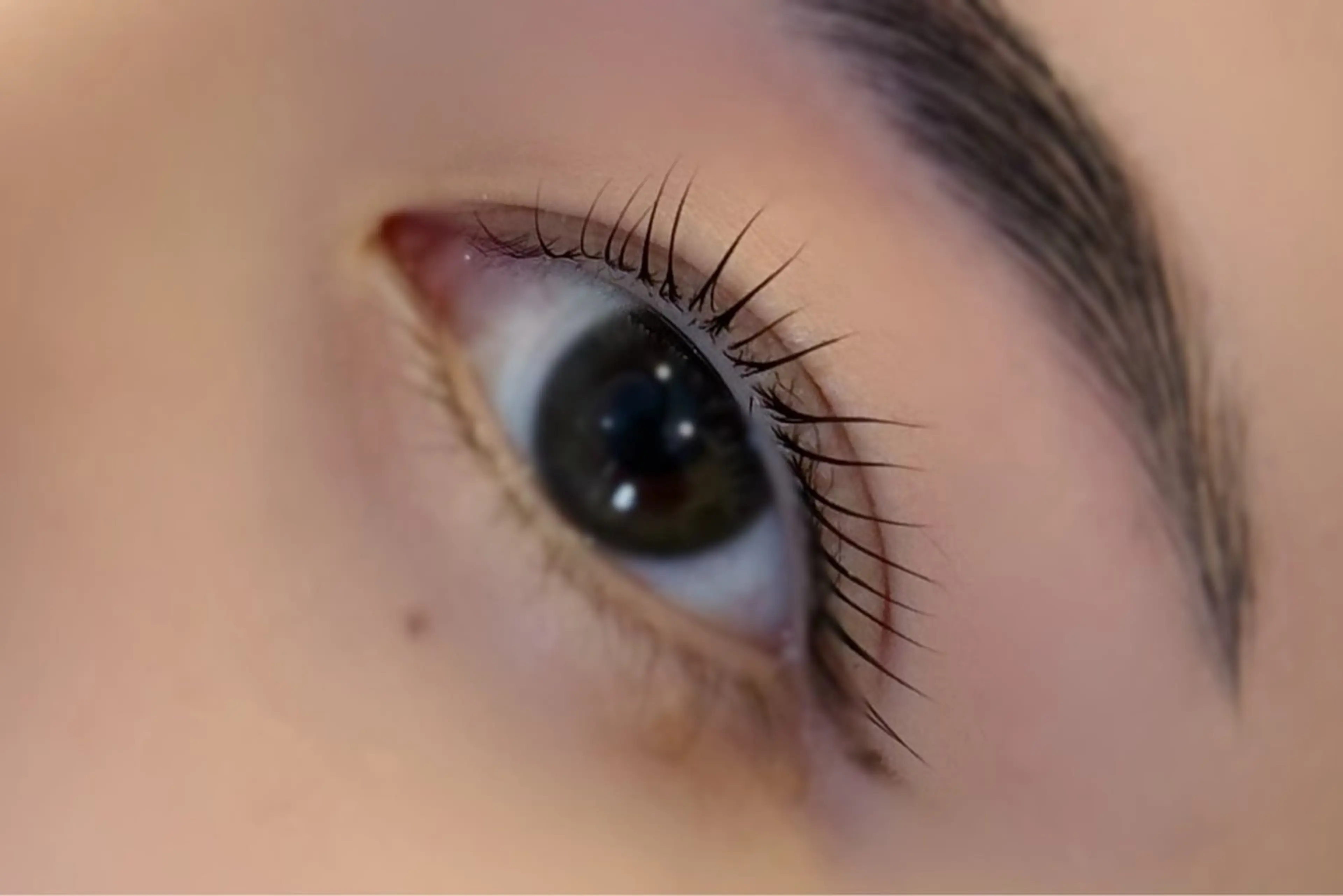 マツエク・マツパ ナチュラル crevia所属・Crevia Chieのマツエク・マツパデザイン