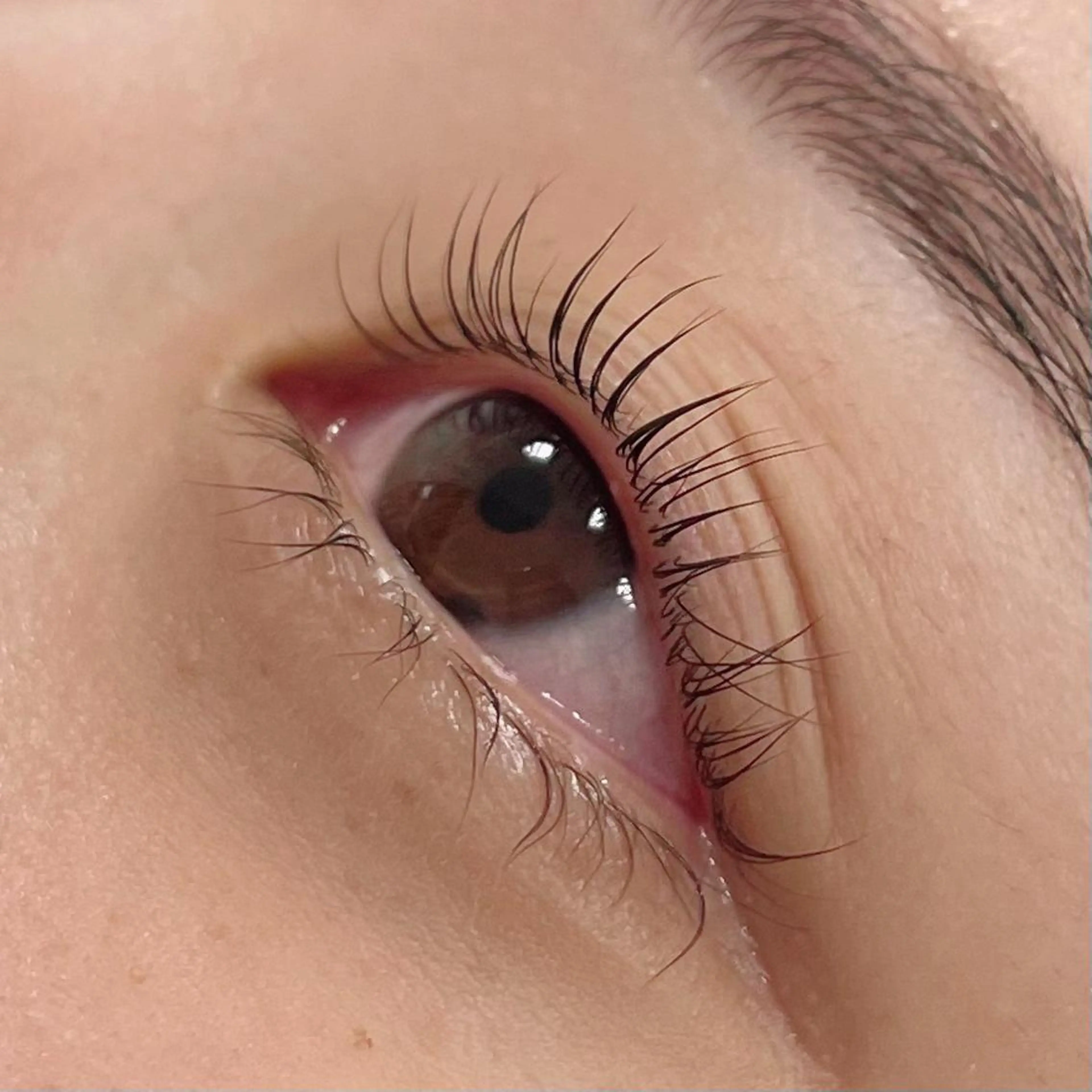 マツエク・マツパ パリジェンヌラッシュリフト Favori 中村のマツエク・マツパデザイン