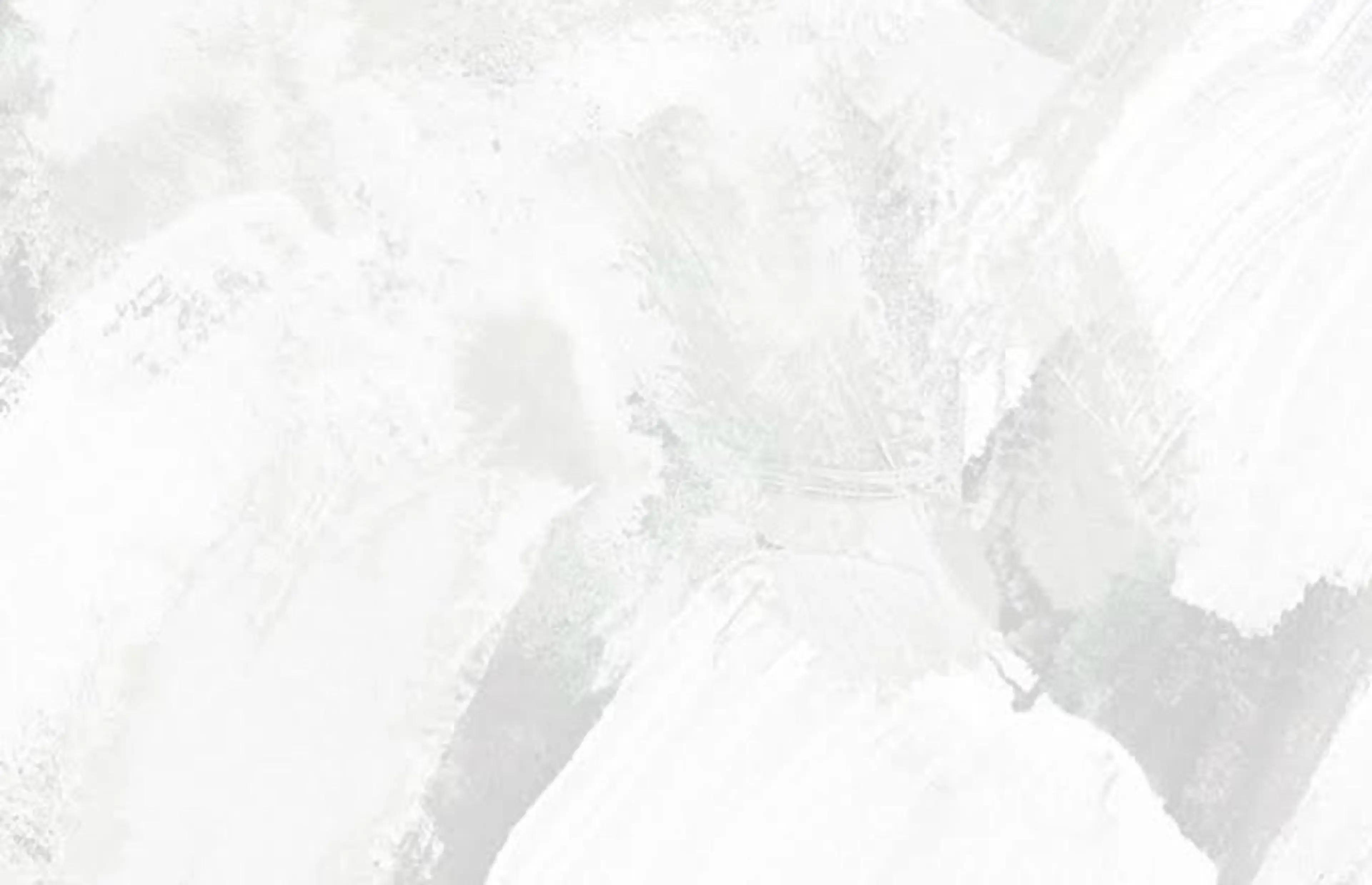 BIANCA神楽坂店 TSUMITAのネイルデザイン