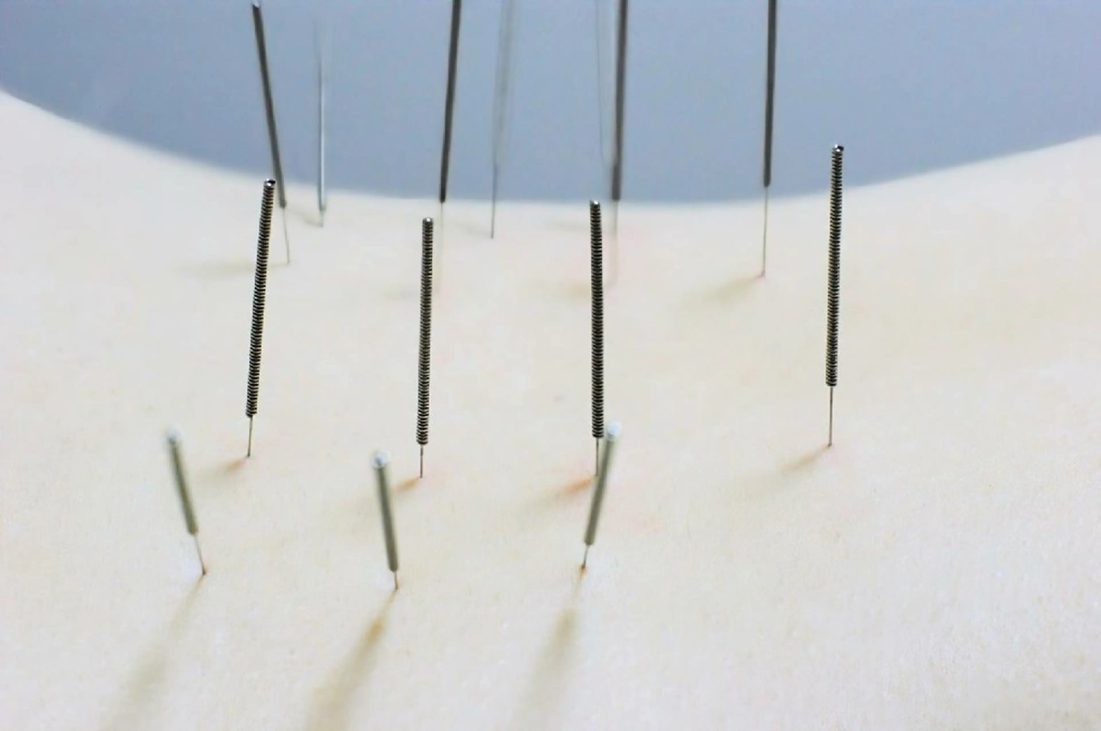 その他 瀬川  幸宏	のその他イメージ