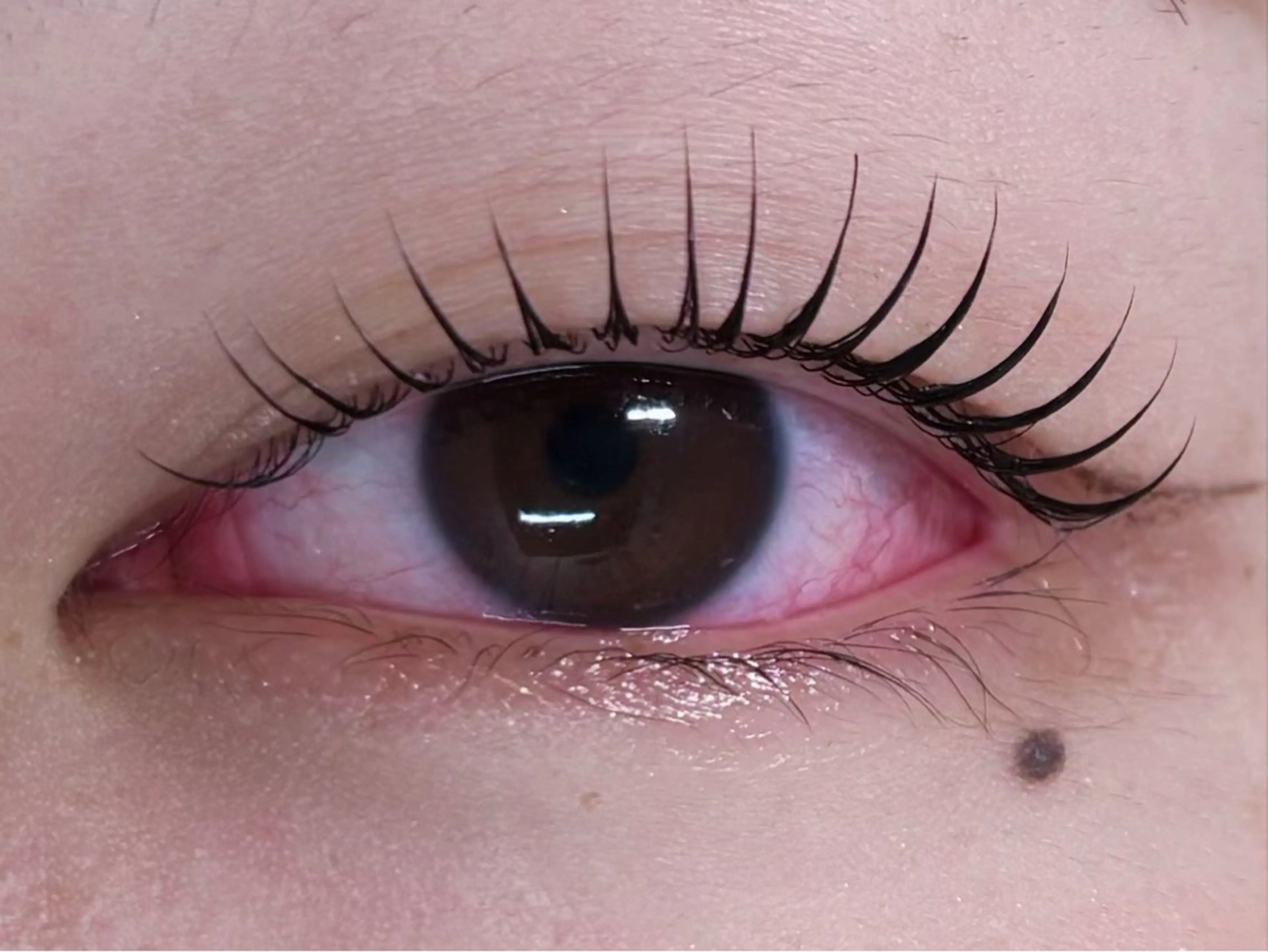 マツエク・マツパ マツパ emika 【ever天神店】のマツエク・マツパデザイン