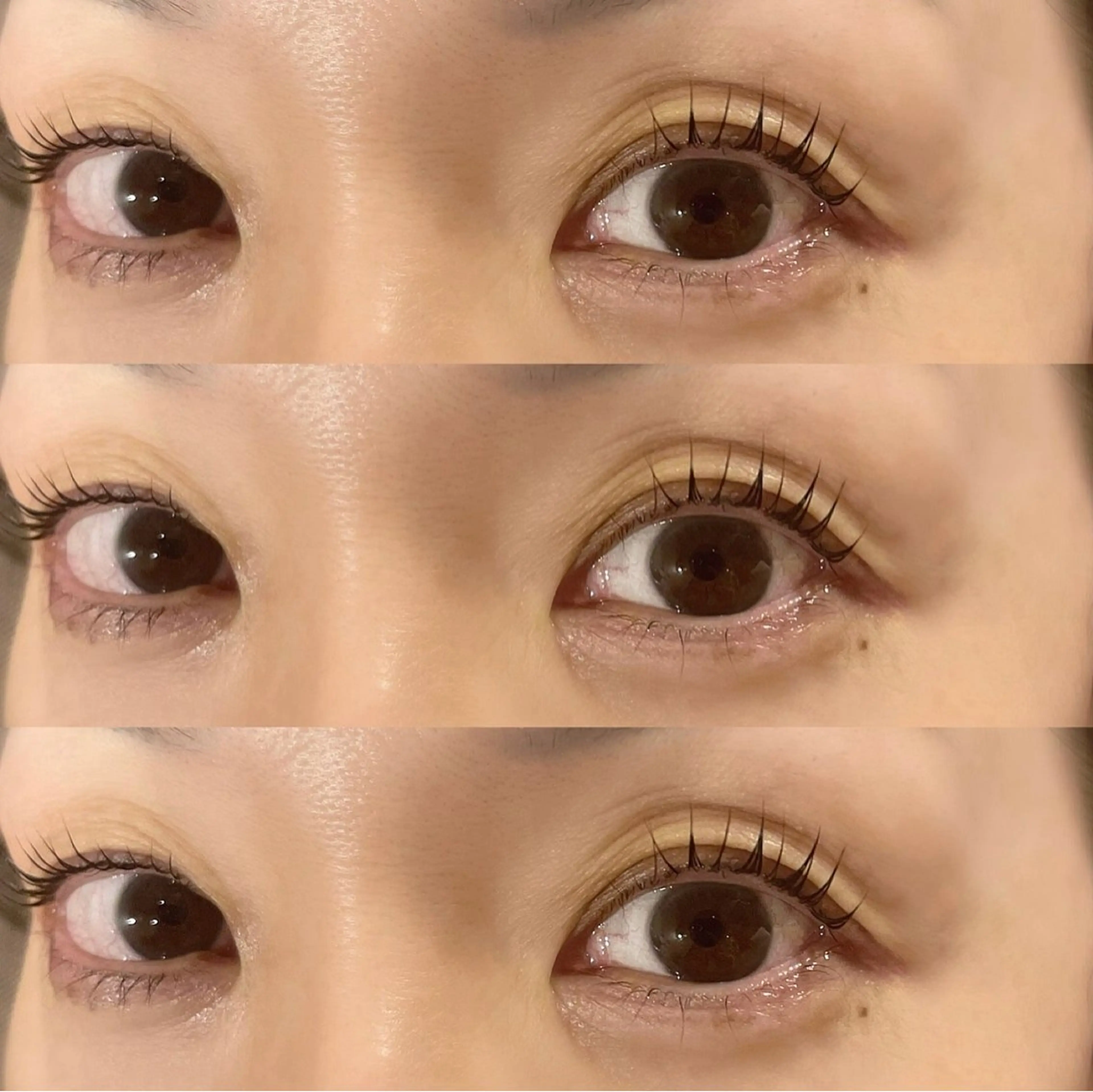 マツエク・マツパ マツパ ✨joie梅田✨ yuuのマツエク・マツパデザイン