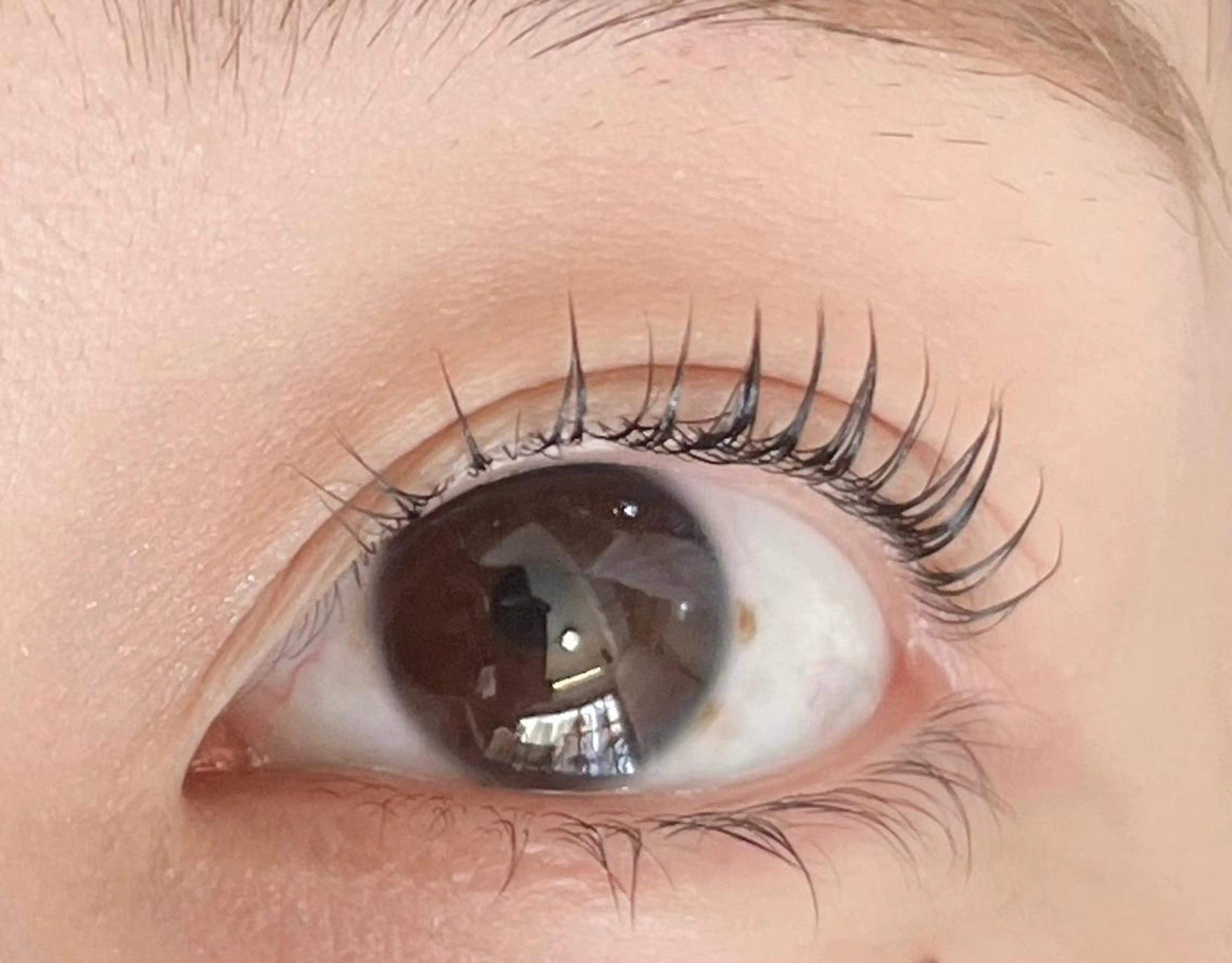 マツエク・マツパ ナチュラル handsemu EYELASHのマツエク・マツパデザイン