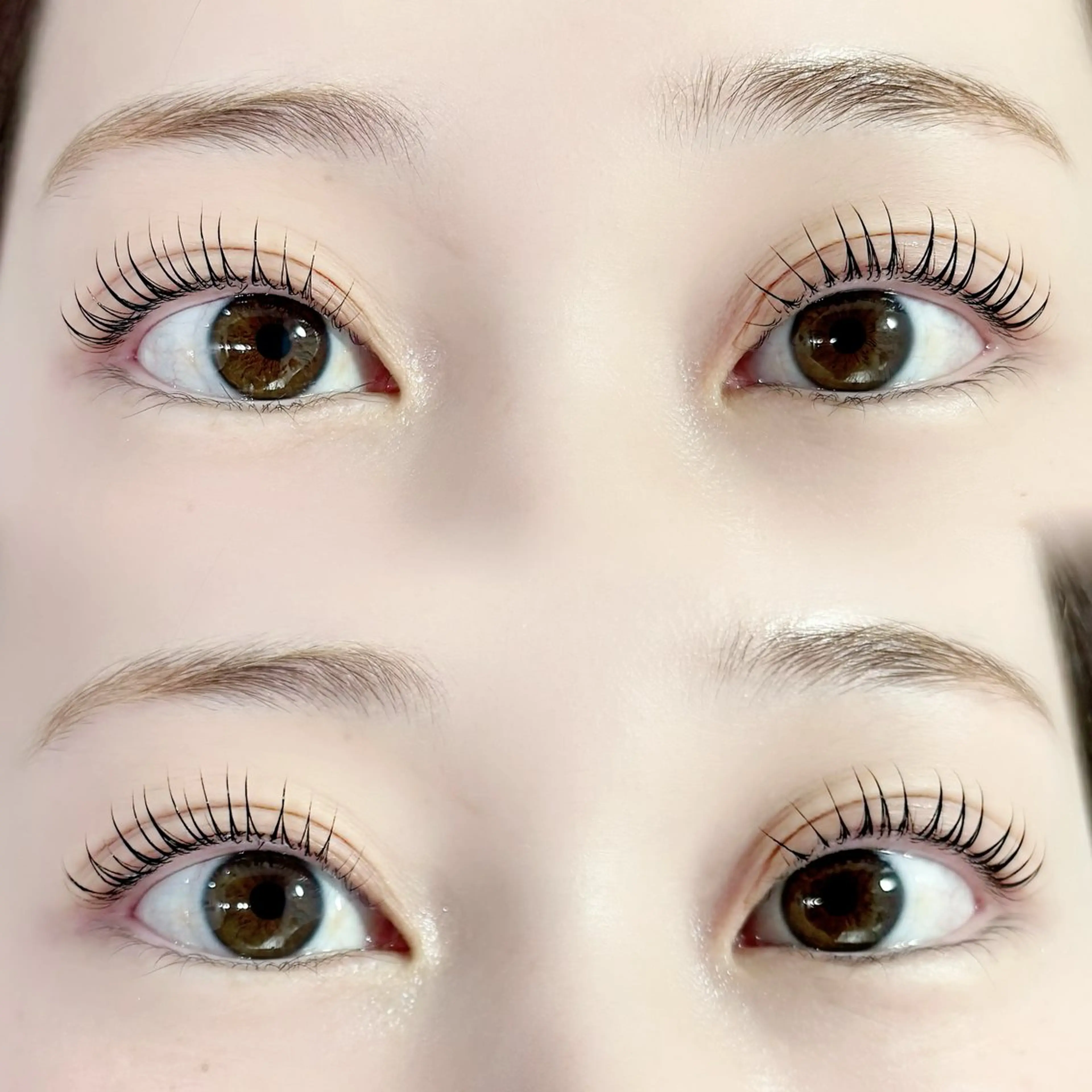 ୨୧ パリジェンヌラッシュリフト୨୧  ⚠️詳細を必ずご確認くださいの写真