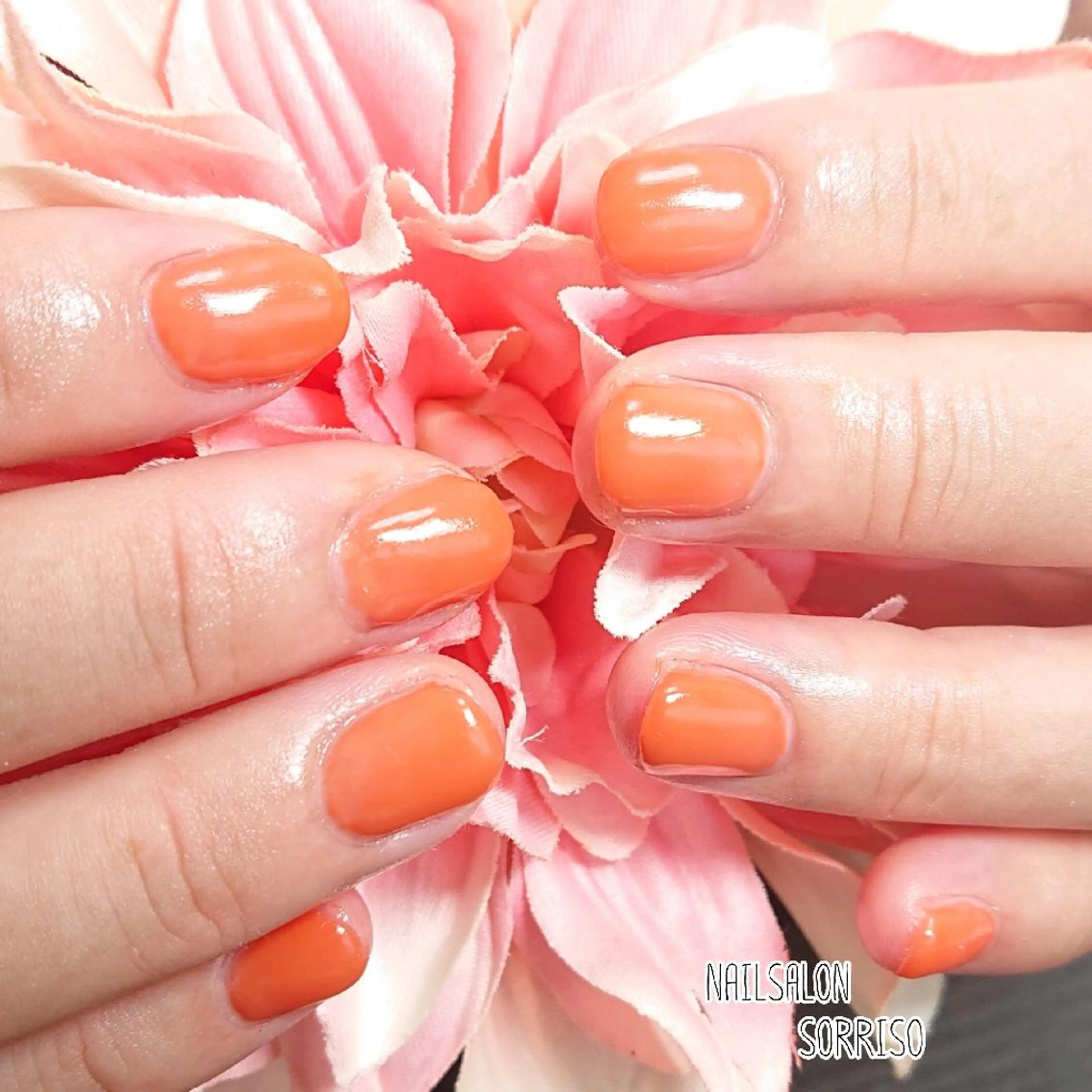 ネイル ワンカラーネイル KOYAMA KIMIEのネイルデザイン