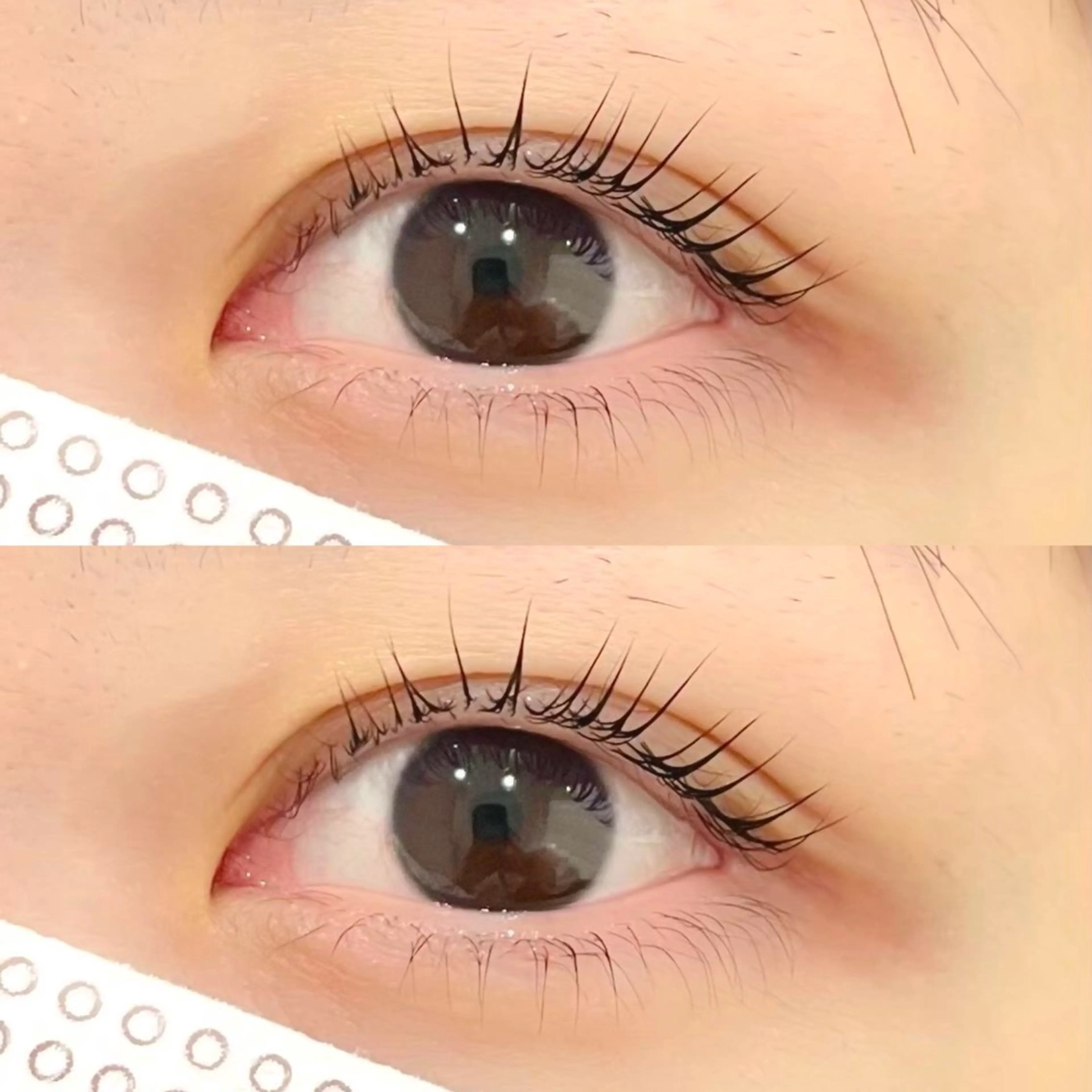 【プレミアム】上パーマ下パリ＋美容液option付🥀の写真