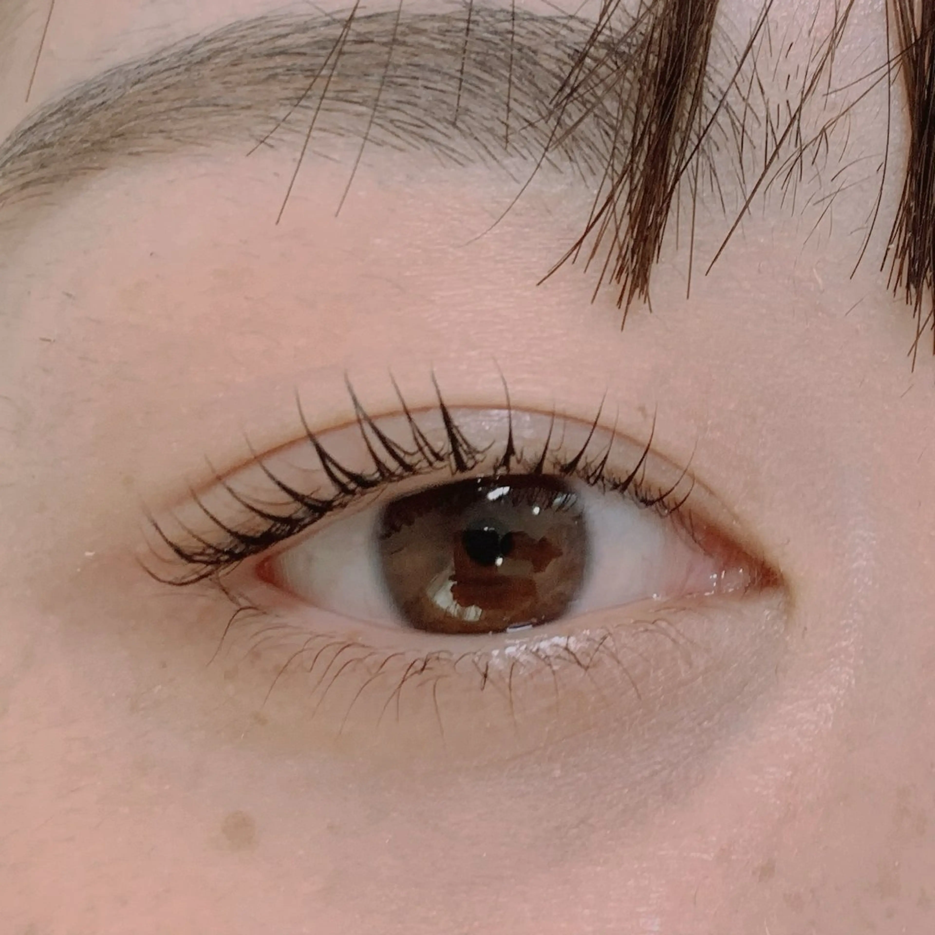 マツエク・マツパ マツパ lifra CHISAのマツエク・マツパデザイン