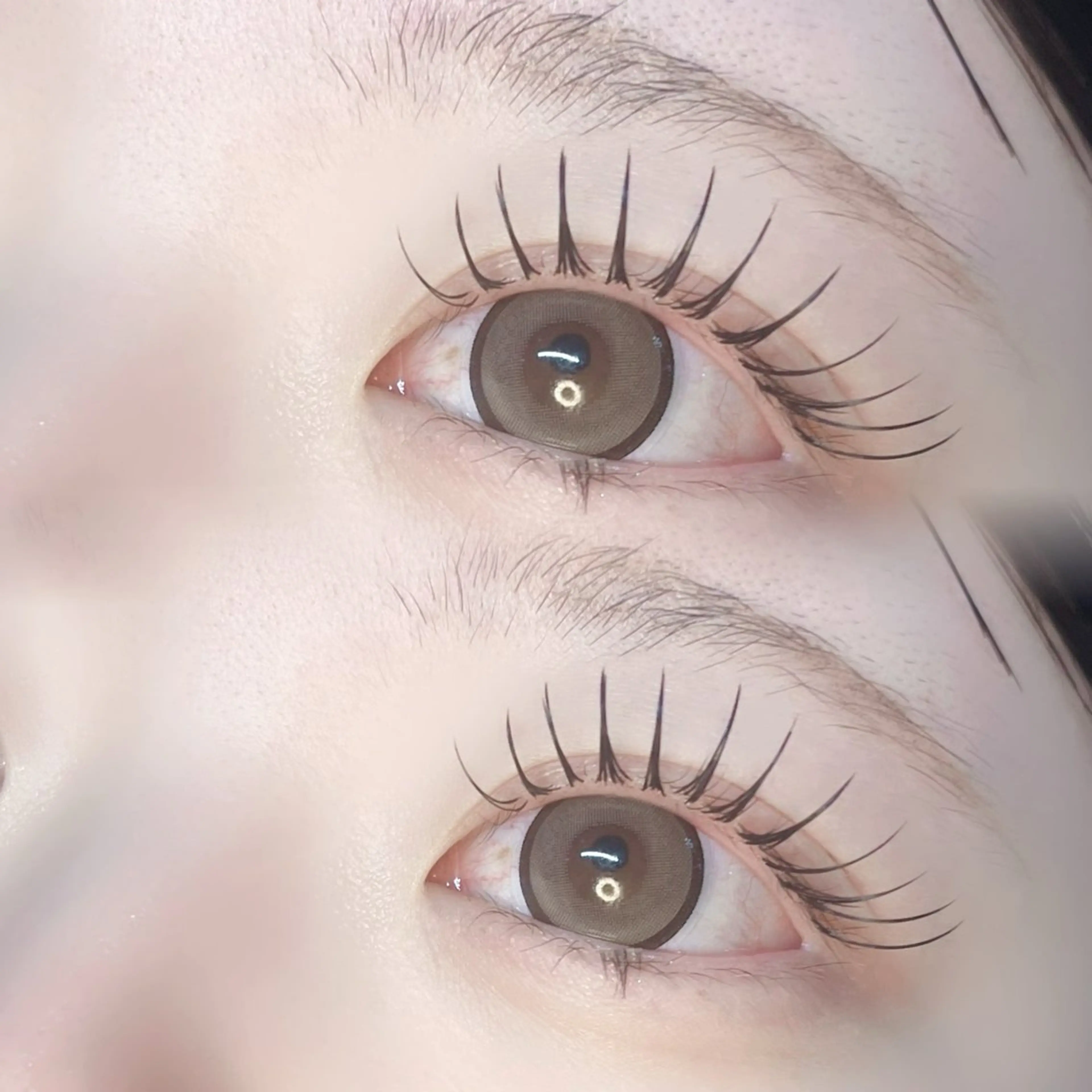 マツエク・マツパ マツエク DL•BEAUTY / 『MONE』のマツエク・マツパデザイン