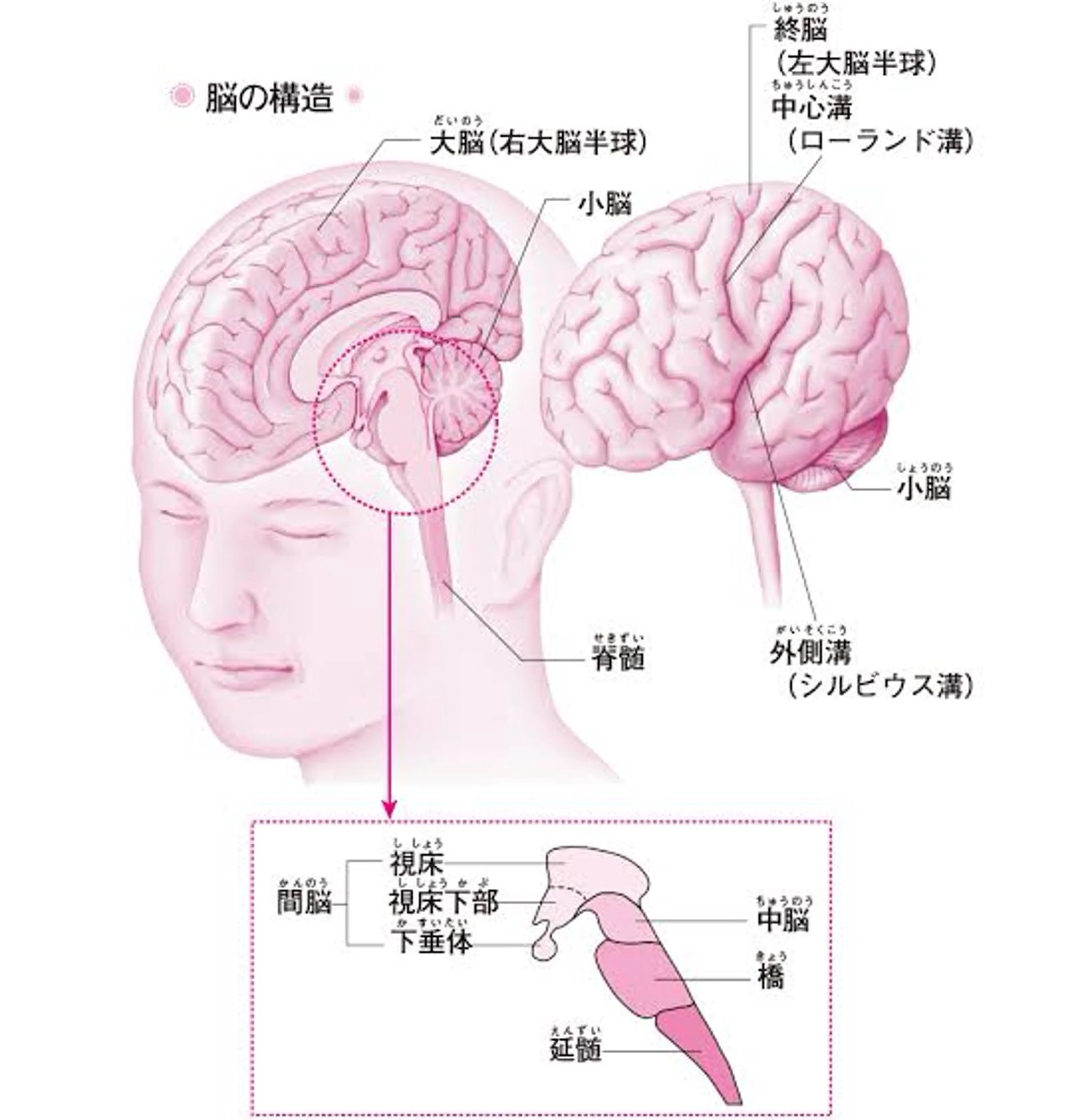 🅖🅤🅩🅔🅛 salonのエステ・リラクイメージ