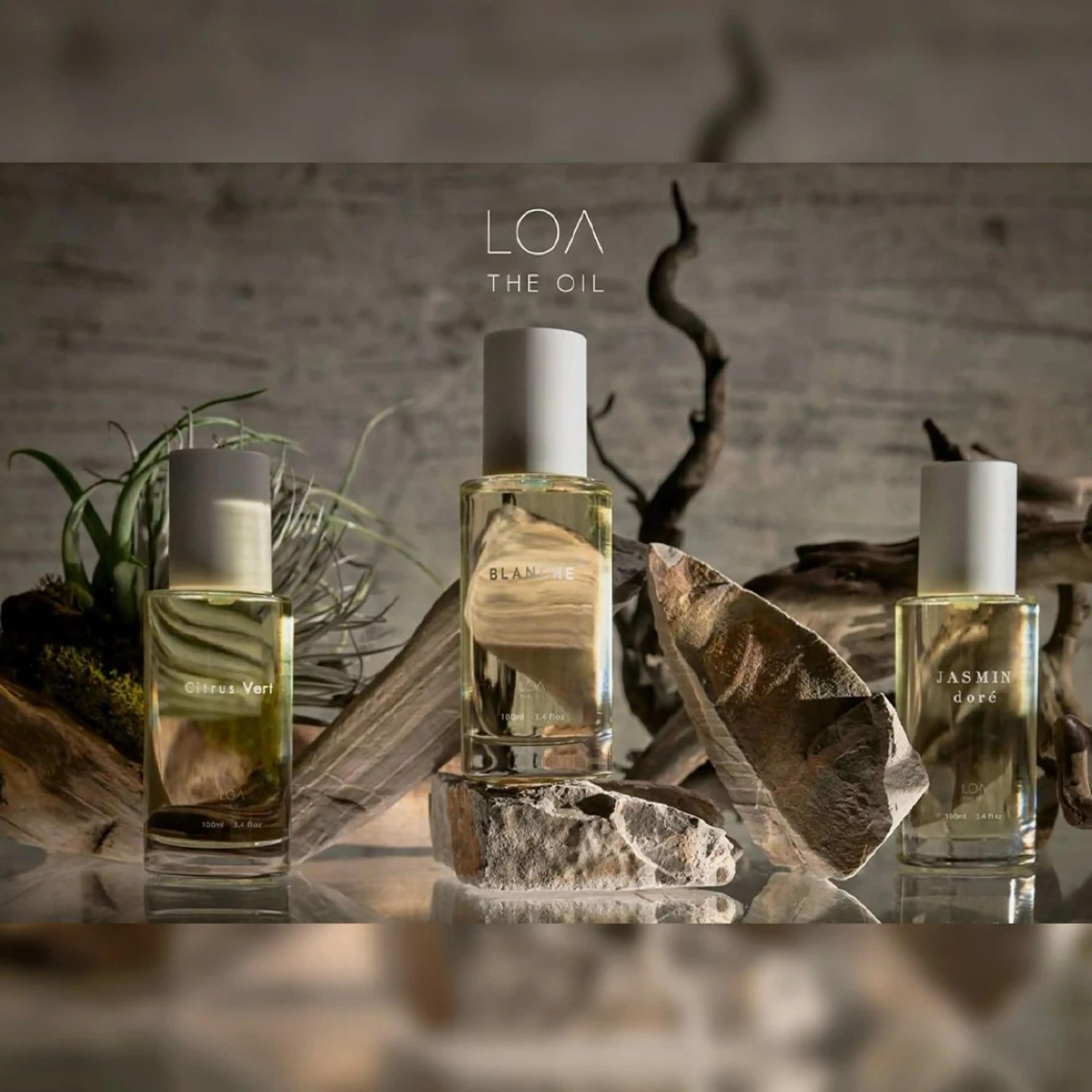 ヘアカラー ボブ/美髪矯正 /佐藤　奈巳のヘアスタイル