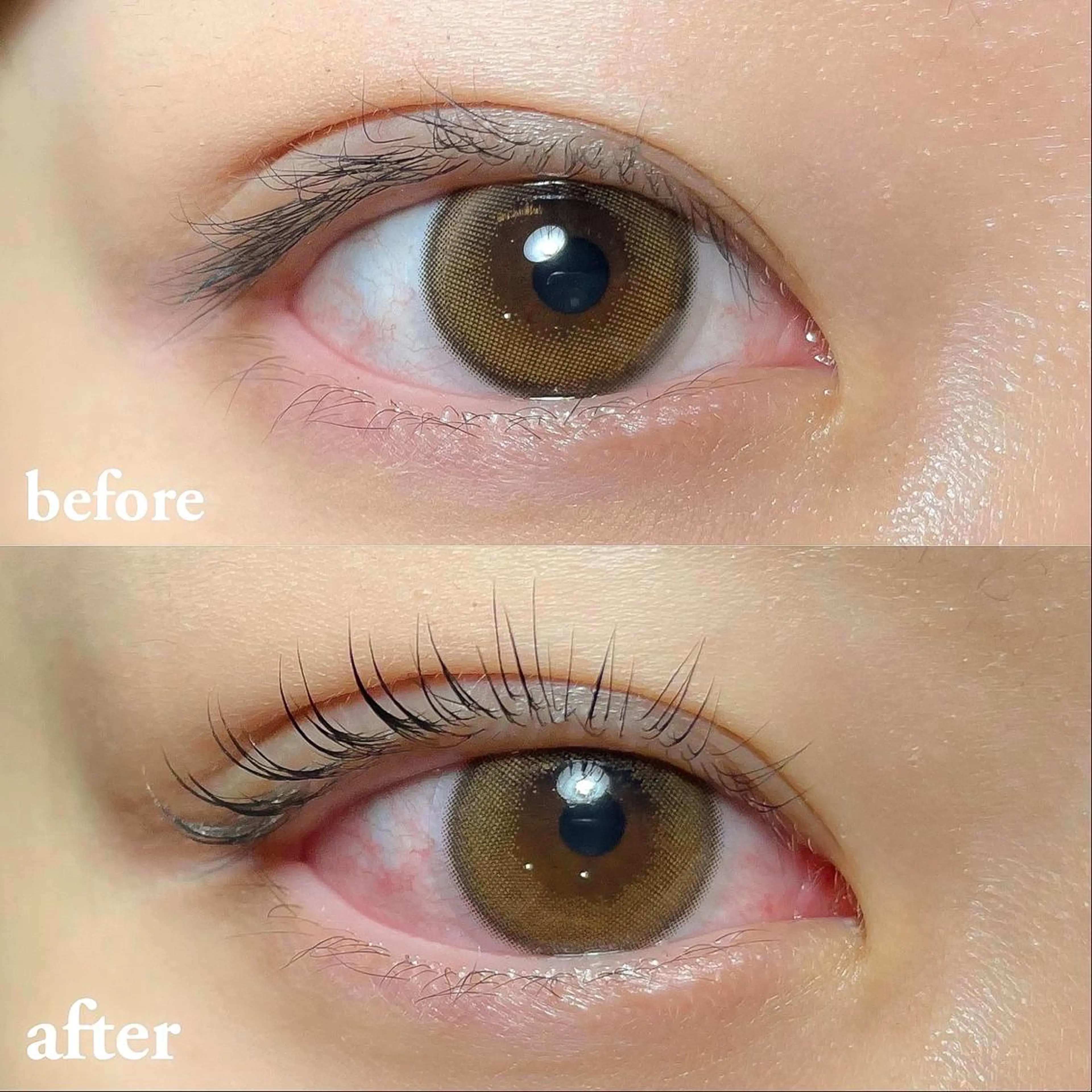 マツエク・マツパ 向井 萌華の眉毛・アイブロウイメージ