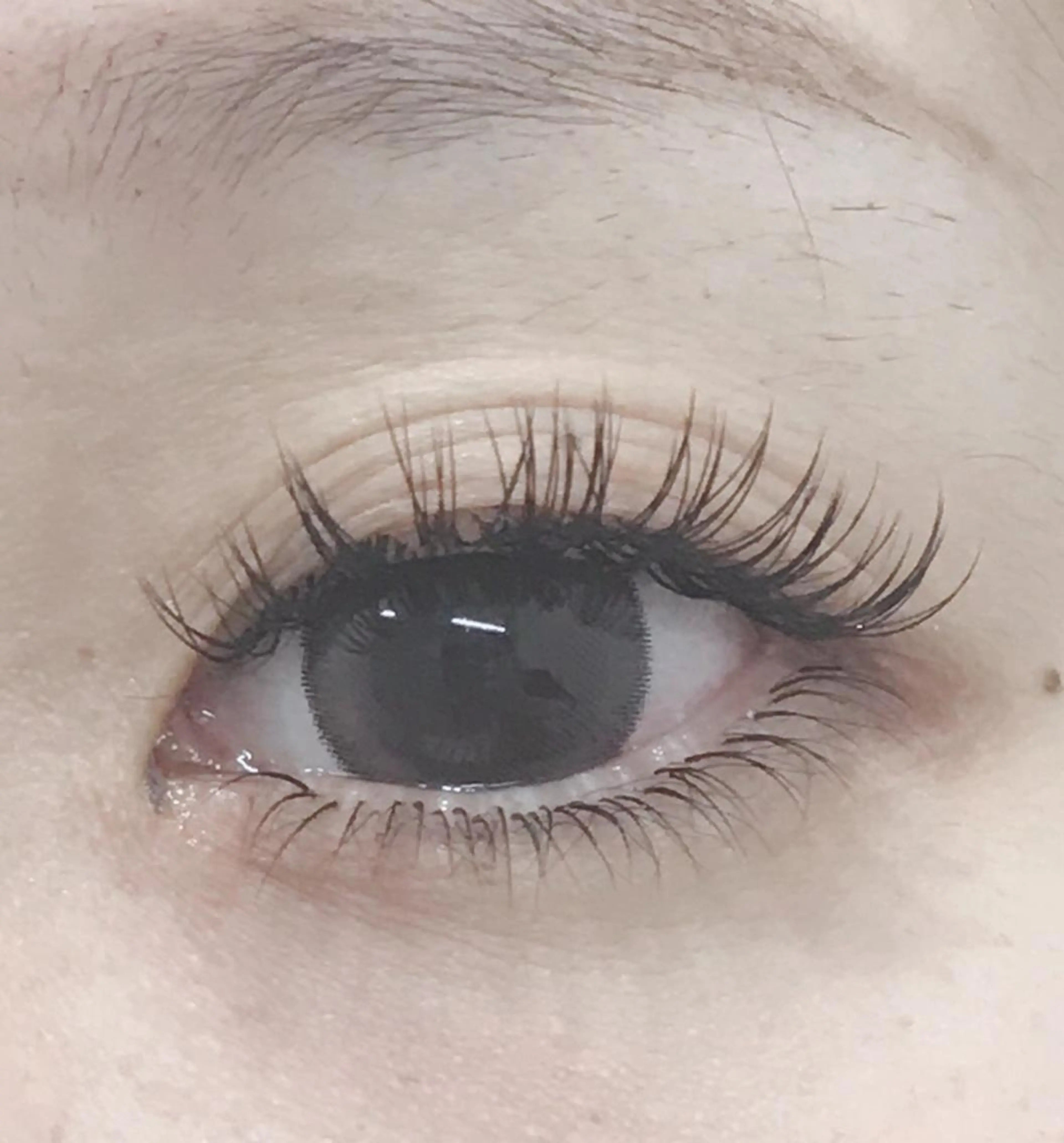 マツエク・マツパ 付け放題 フラットラッシュ セーブル ELLA 菊地のマツエク・マツパデザイン