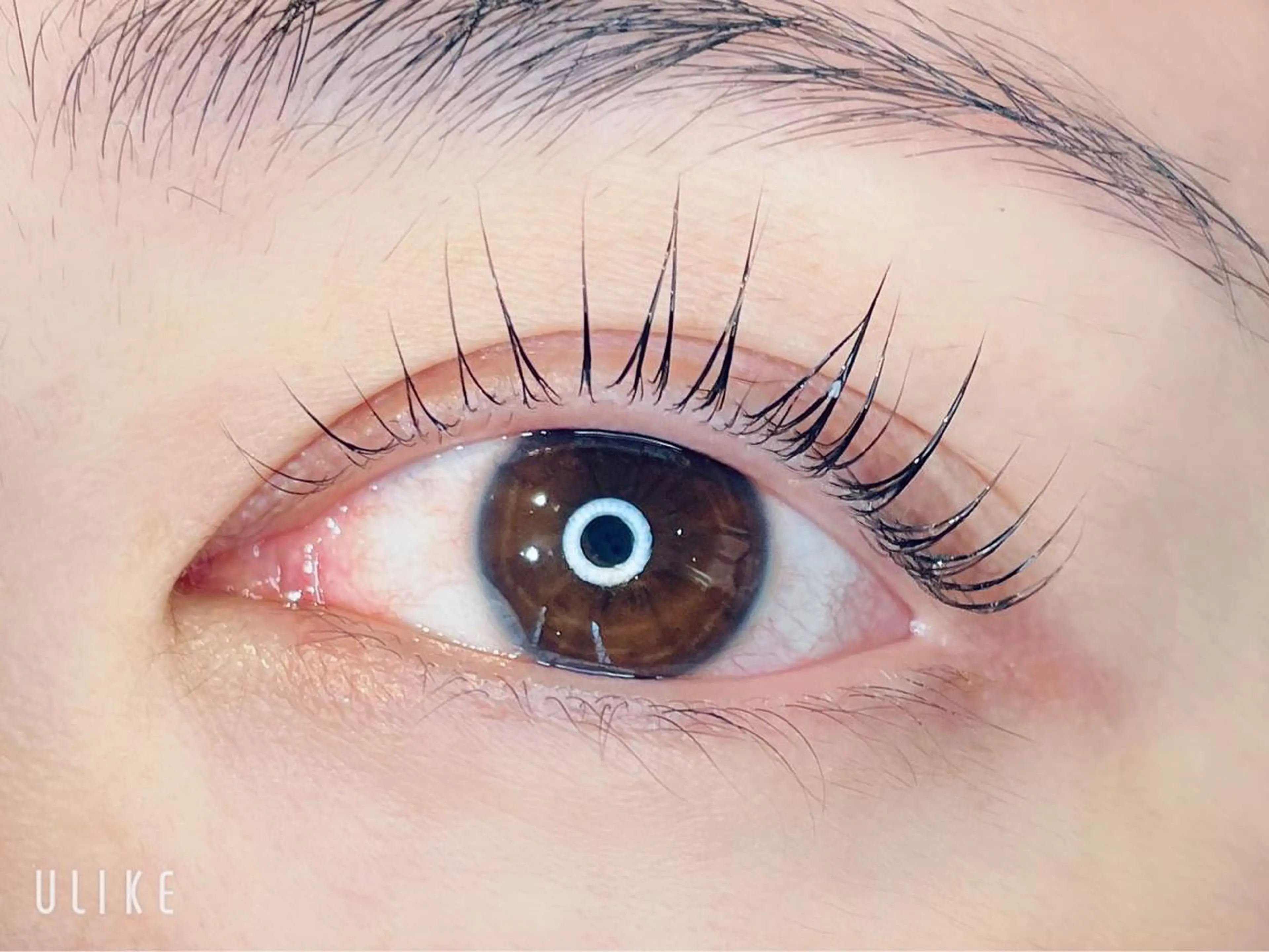 マツエク・マツパ パリジェンヌラッシュリフト 🎀浦嶋 暖乃🎀の眉毛・アイブロウイメージ