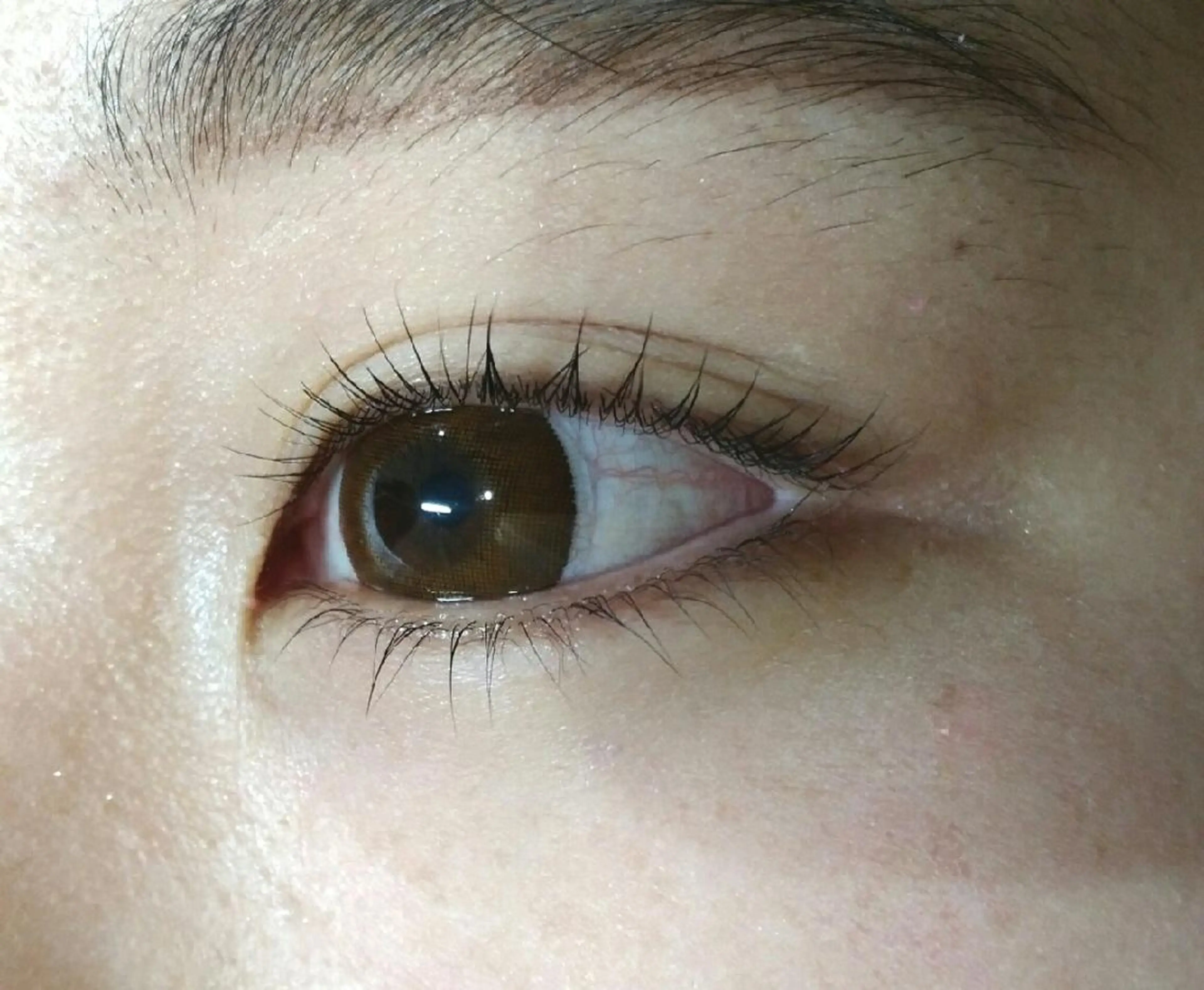 マツエク・マツパ 一重×まつ毛パーマ ClatisseMavie所属・Clatisse Mavieのエステ・リラクイメージ