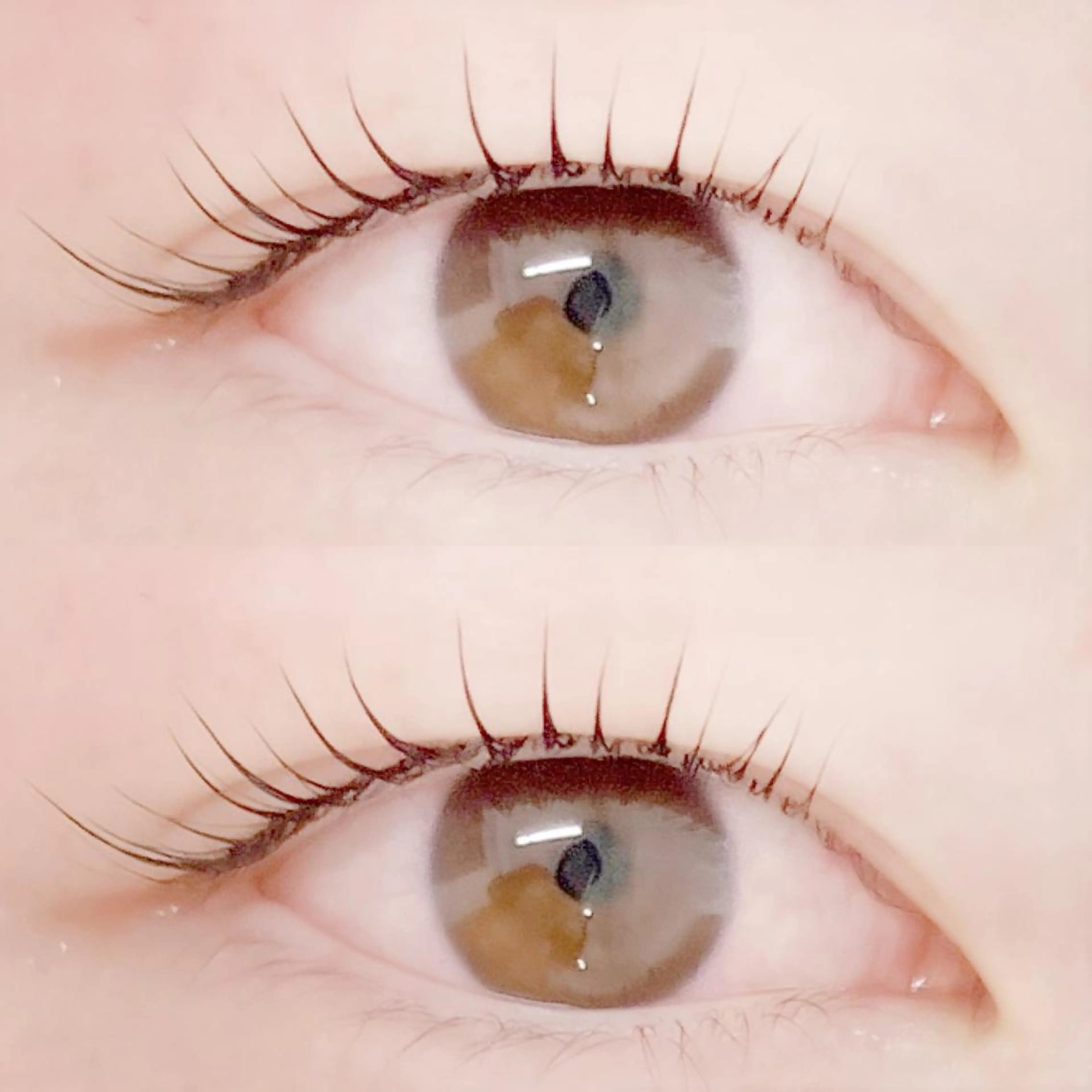 マツエク・マツパ フジ ワラのマツエク・マツパデザイン