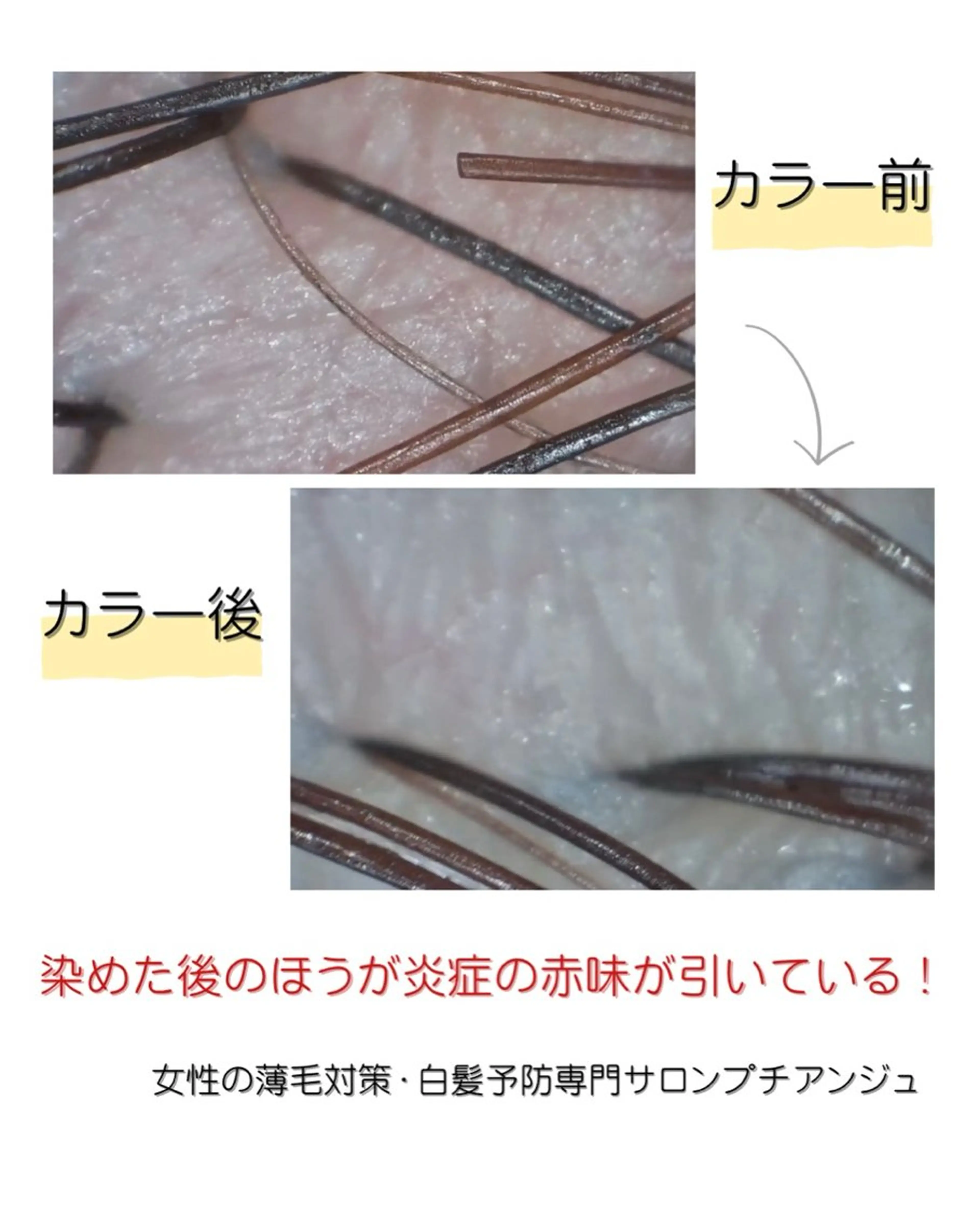 カラー プチアンジュ所属・オノ フミエのヘアスタイル