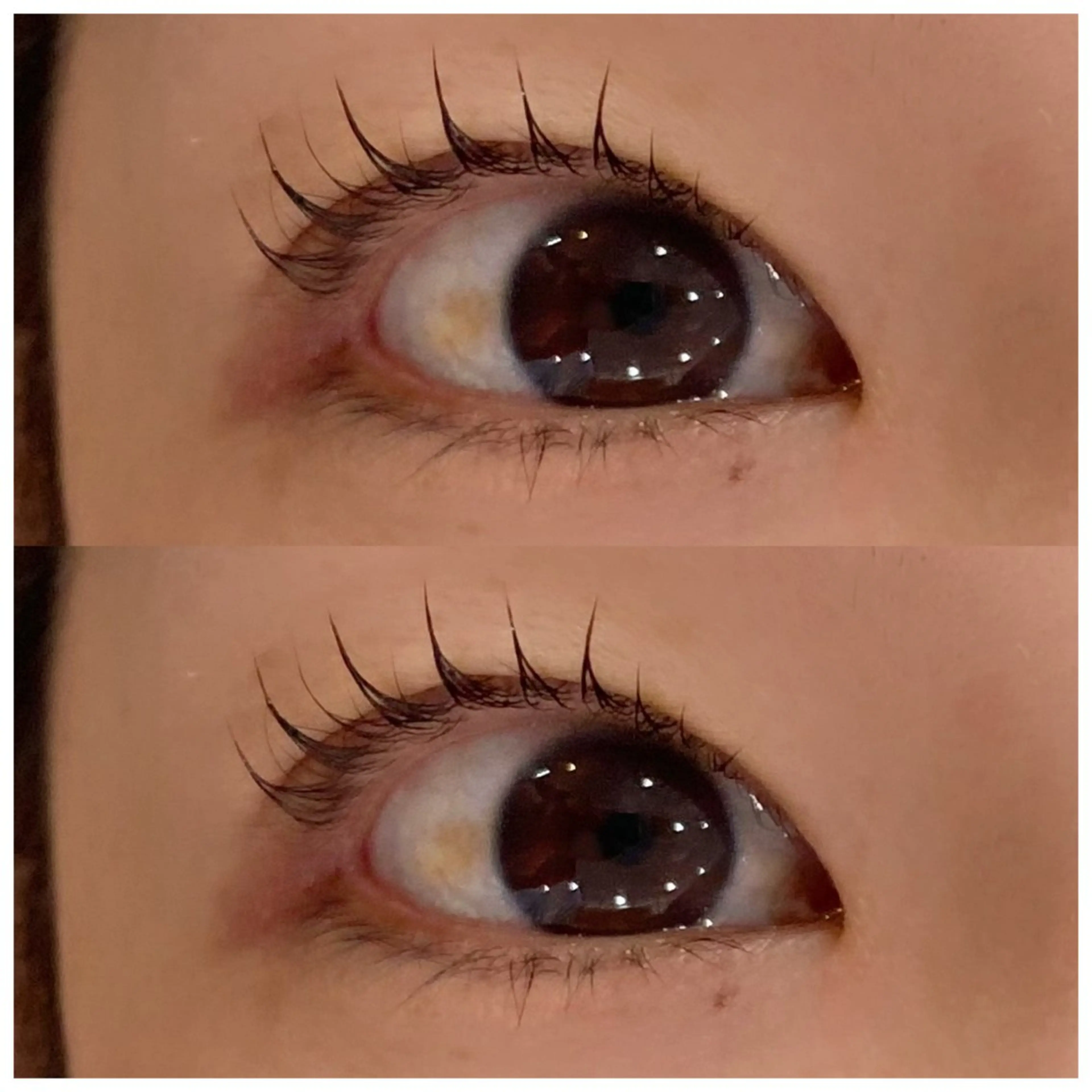 マツエク・マツパ パリジェンヌラッシュリフト 眼科監修まつ毛エクステ専門店　アイラッシュリゾート　カハラ　新宿店所属・🥞ツノダ eyelash🧸のマツエク・マツパデザイン