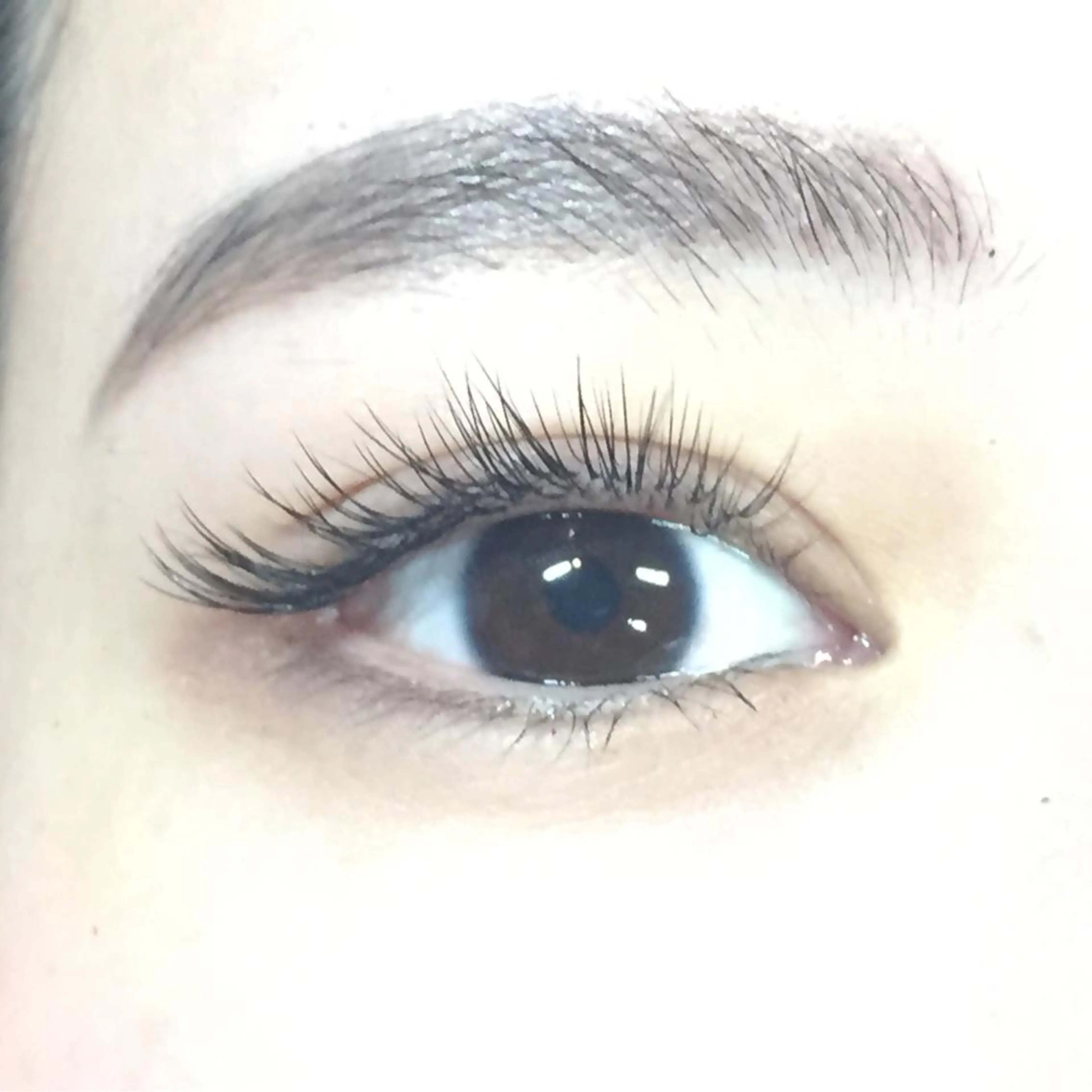 Brave nyc. 渋谷のマツエク・マツパデザイン