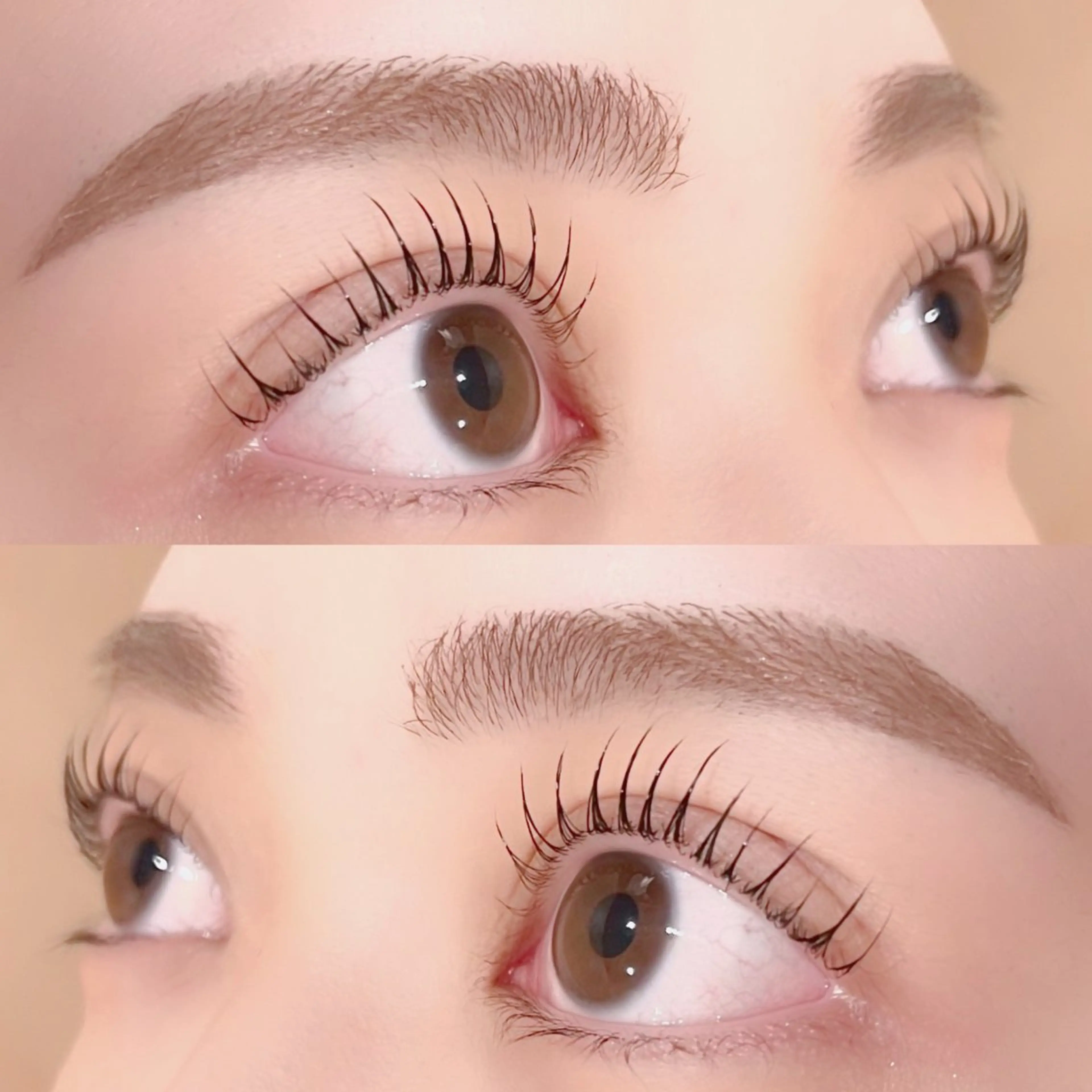 🌸アイブロウWAX+パリジェンヌ🌸アイブロウメイク仕上げ+まつ毛コーティング付き🫧の写真