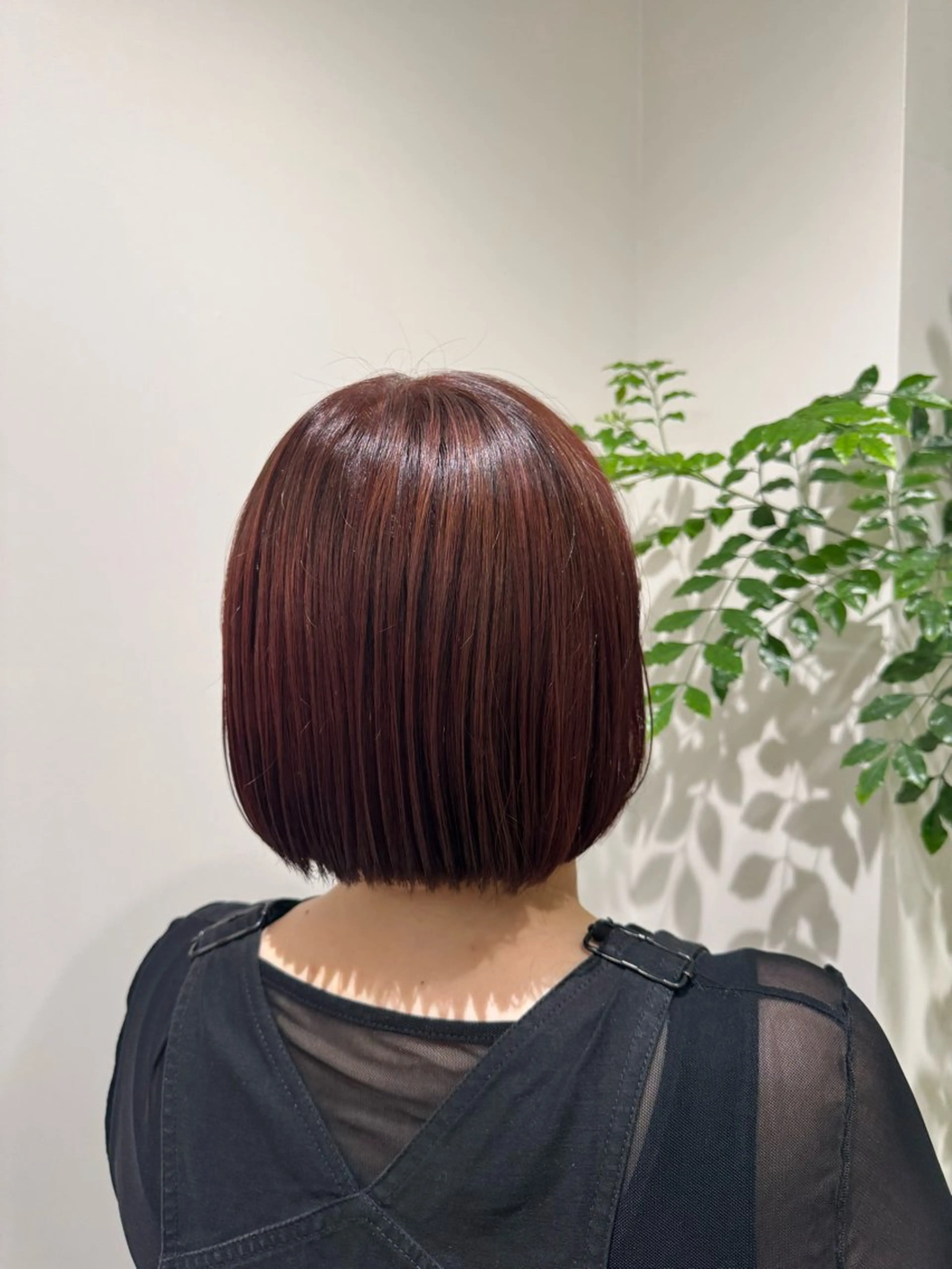 カラー かねこ くれはのヘアスタイル