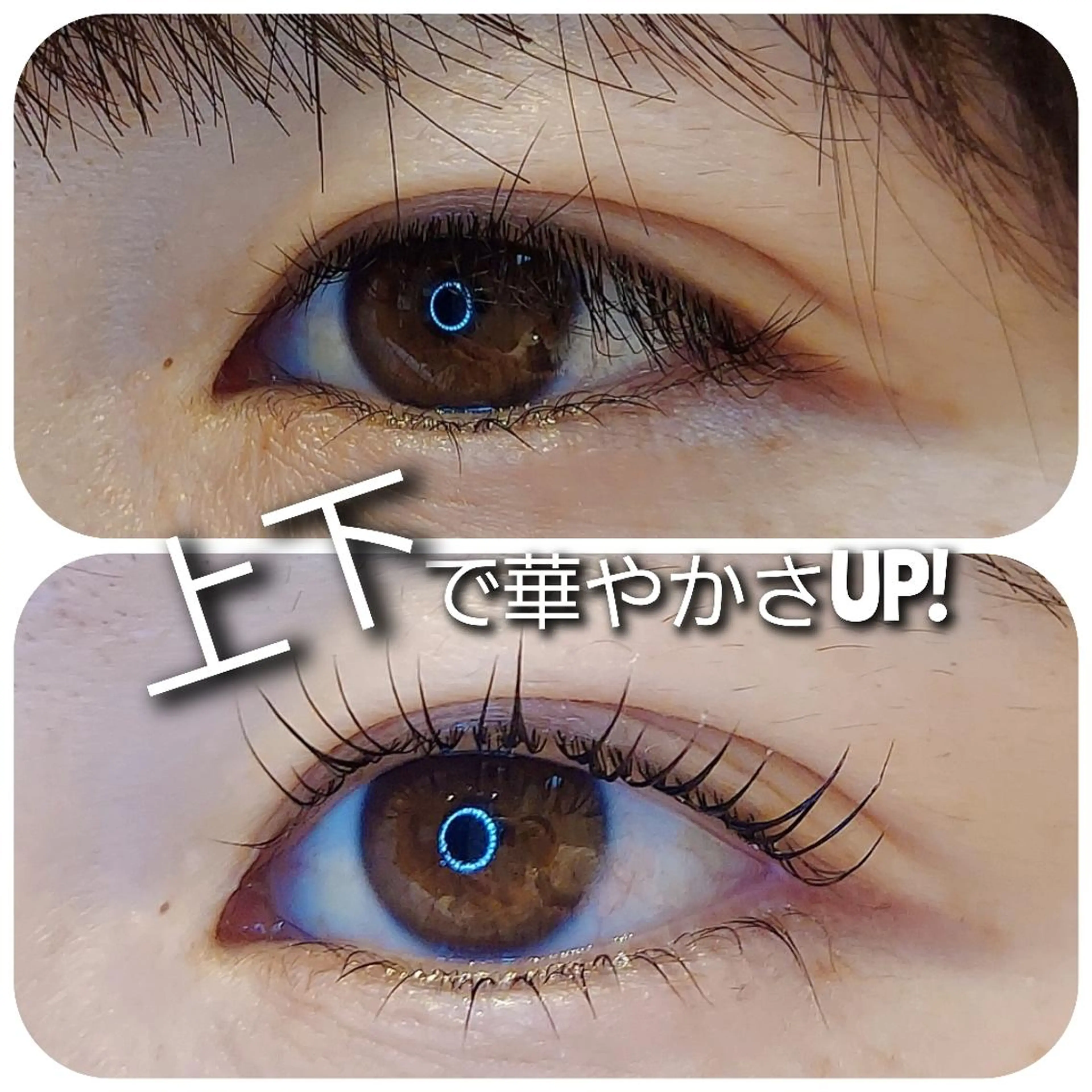 マツエク・マツパ マツパ eyelash Recona 所属・eyelash  Recona のマツエク・マツパデザイン
