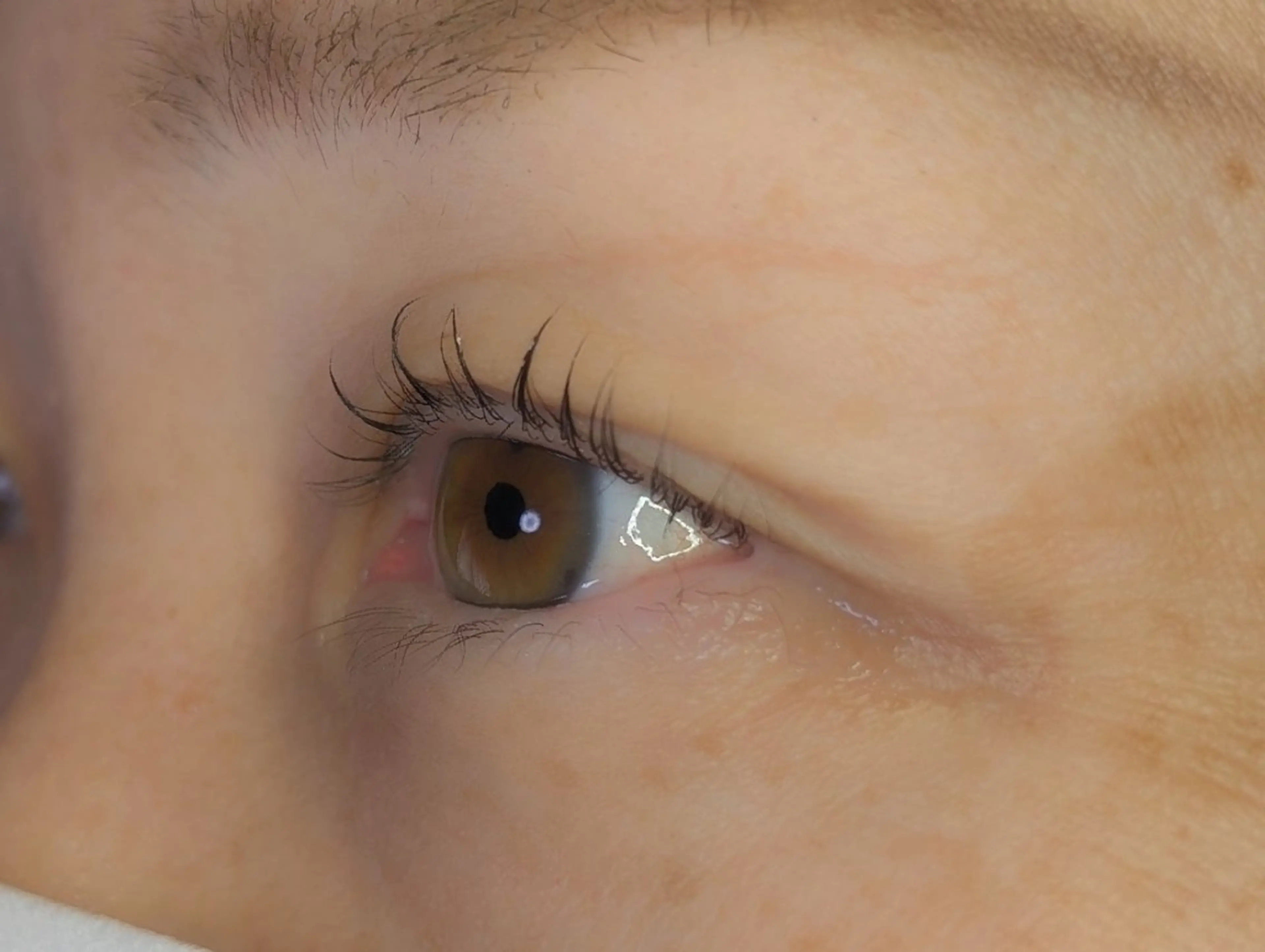 マツエク・マツパ マツパ EYELASH lino　合志市のマツエク・マツパデザイン