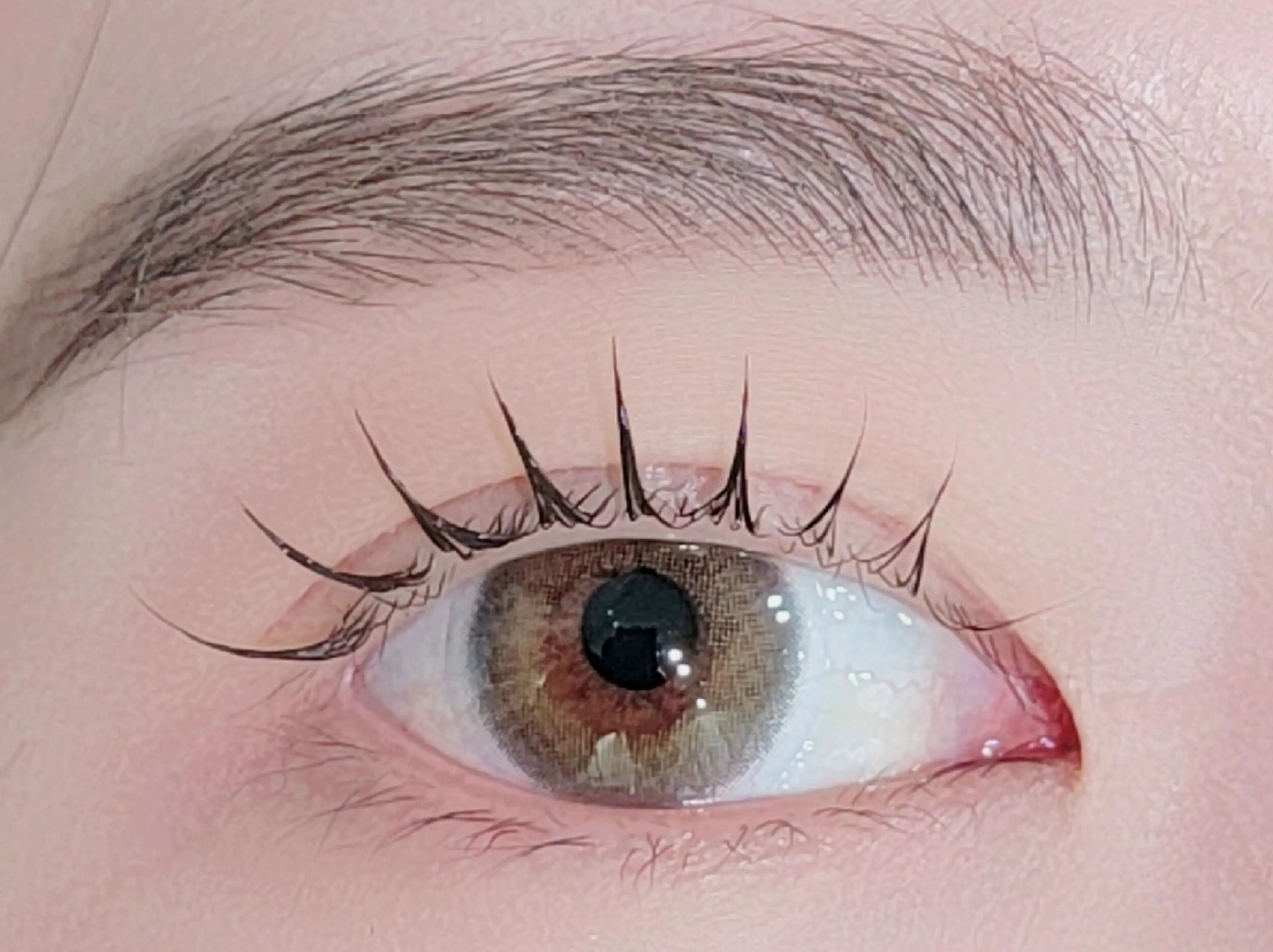 ☆12月限定☆マツパ4980円の写真