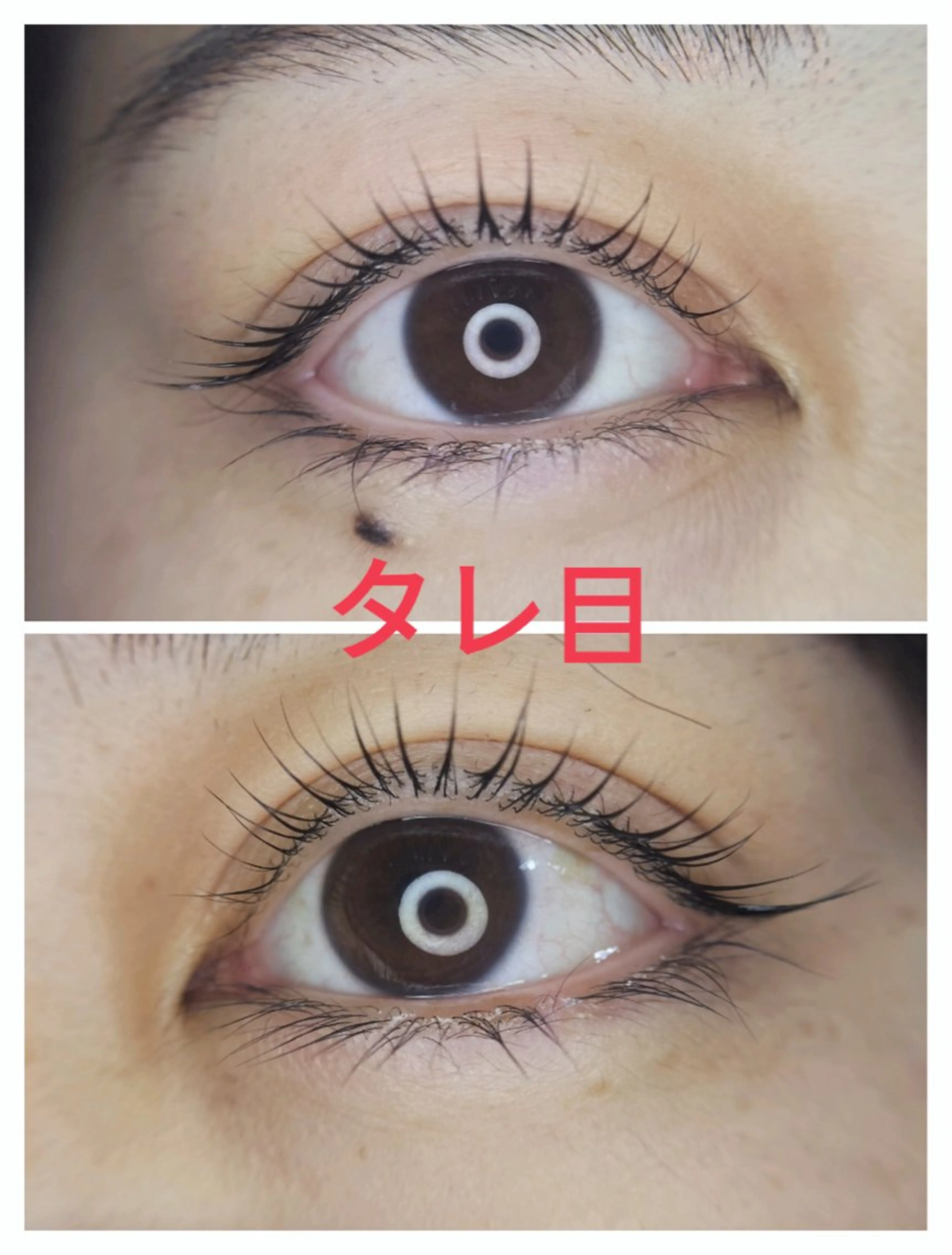 パーマ ベネ ビューティサロンのマツエク・マツパデザイン