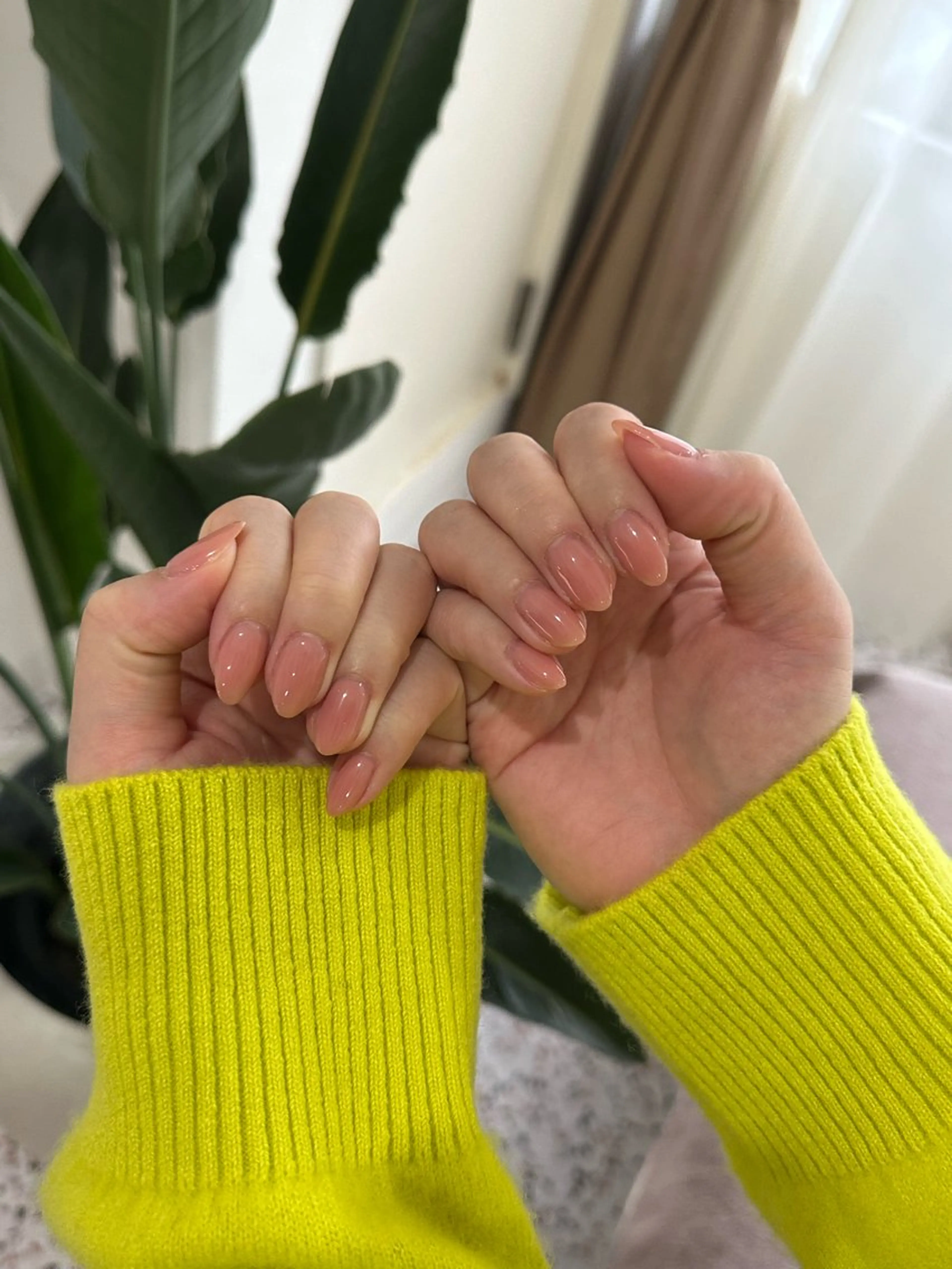 《オフ無しケア込み》ワンカラー🤍の写真