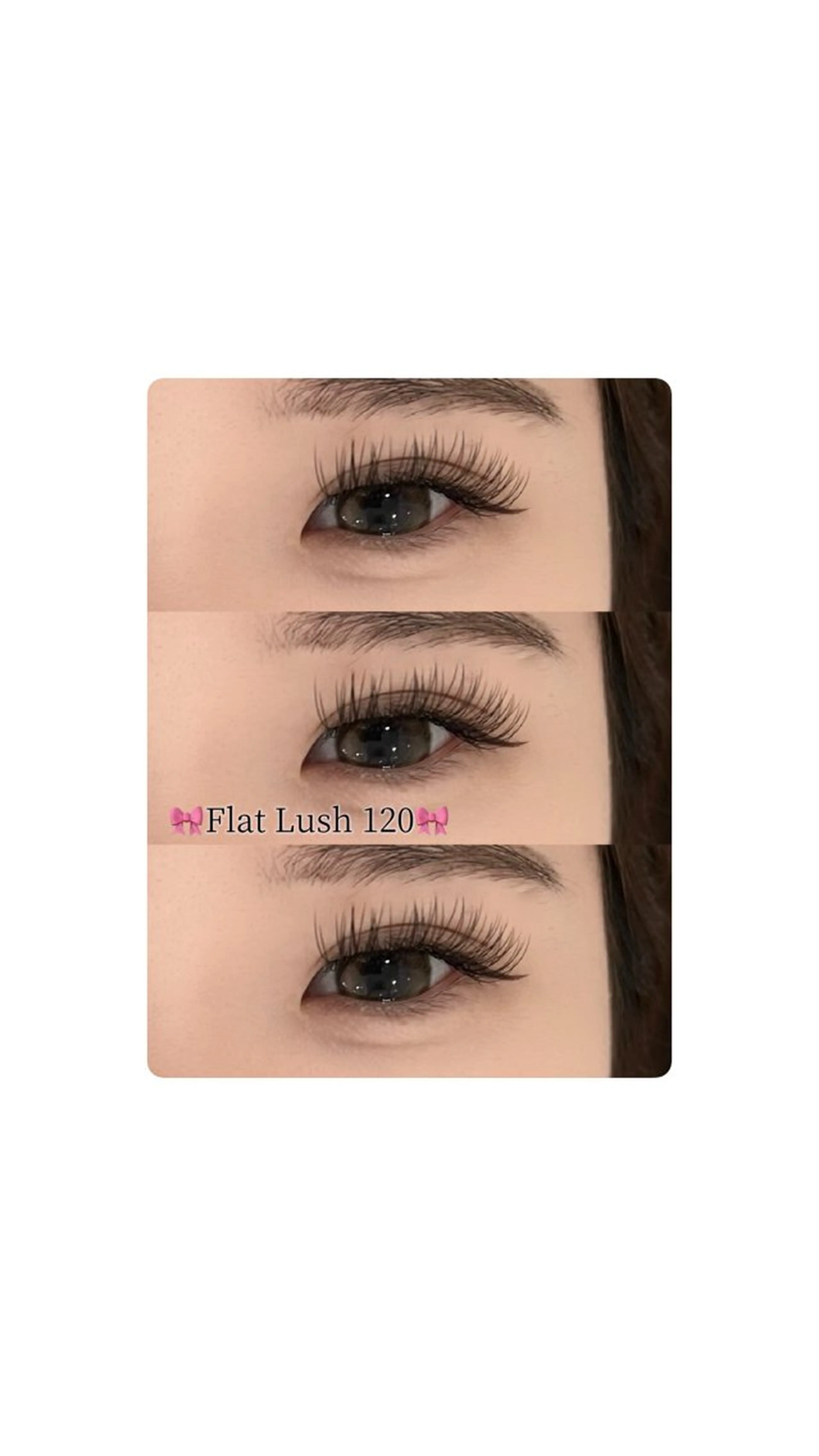 🎀jrアイリスト🎀⚠️フラットラッシュ120本の写真