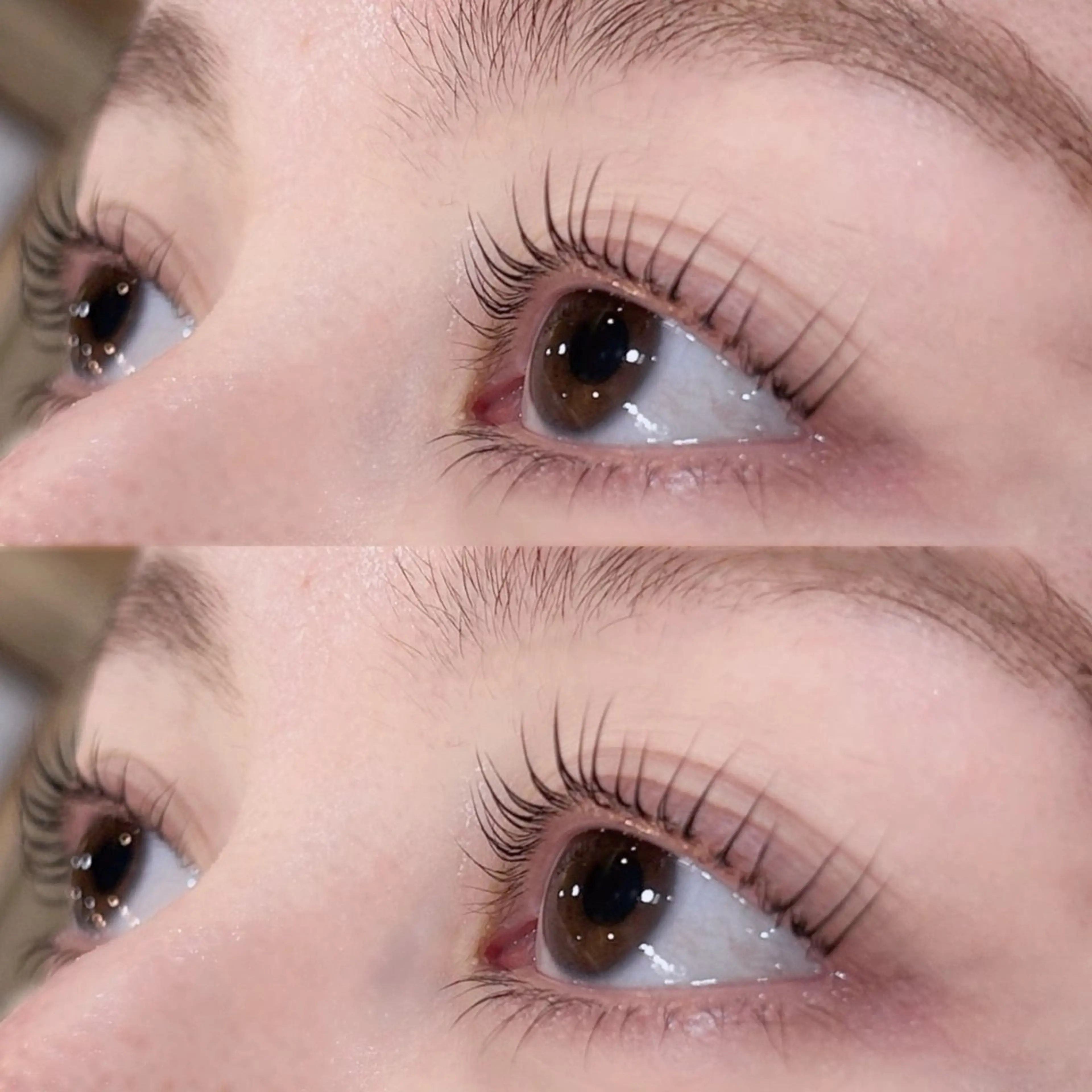 [ミニモ限定価格🎀]上下まつげパーマの写真