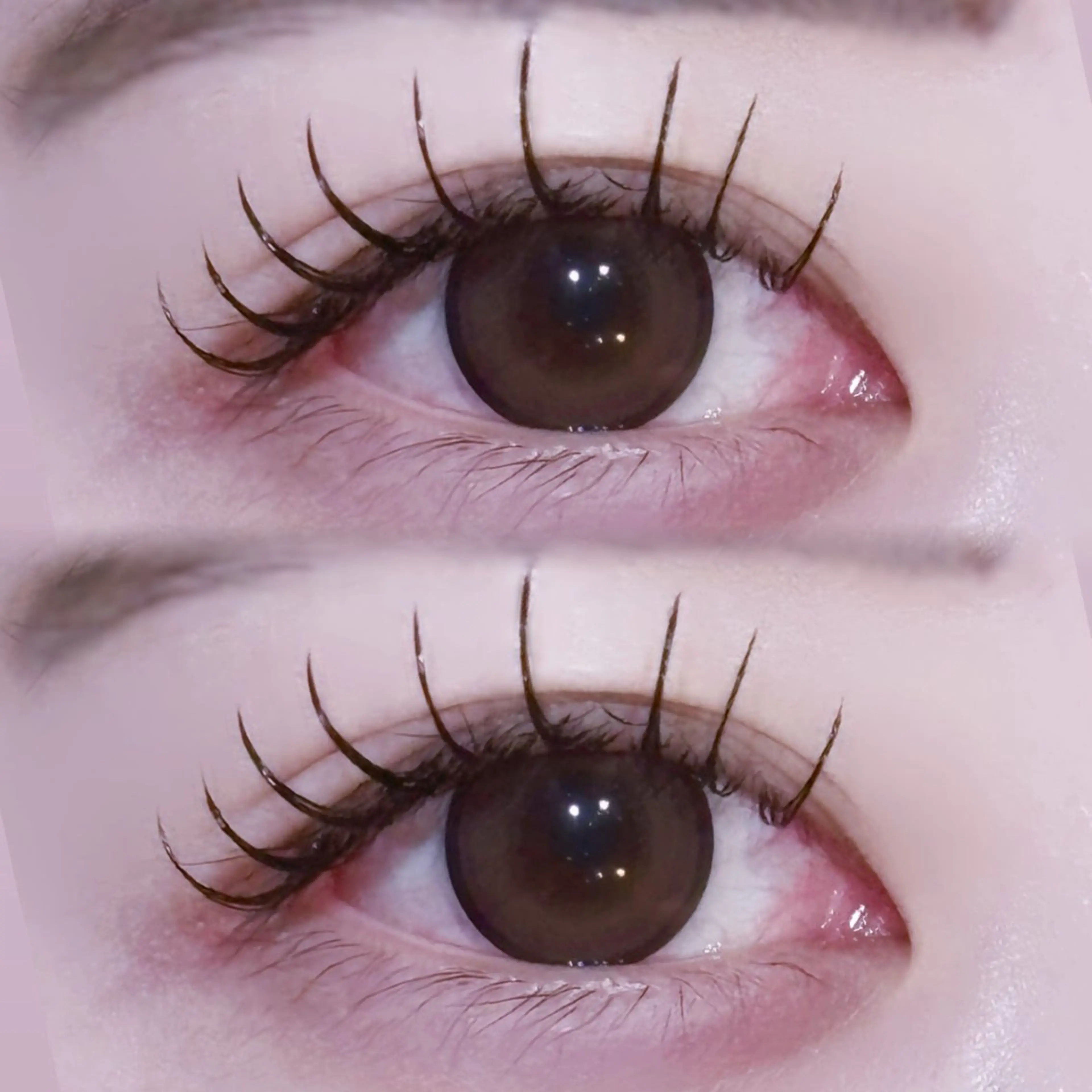 マツエク・マツパ EYELA🤍 蓜島のマツエク・マツパデザイン