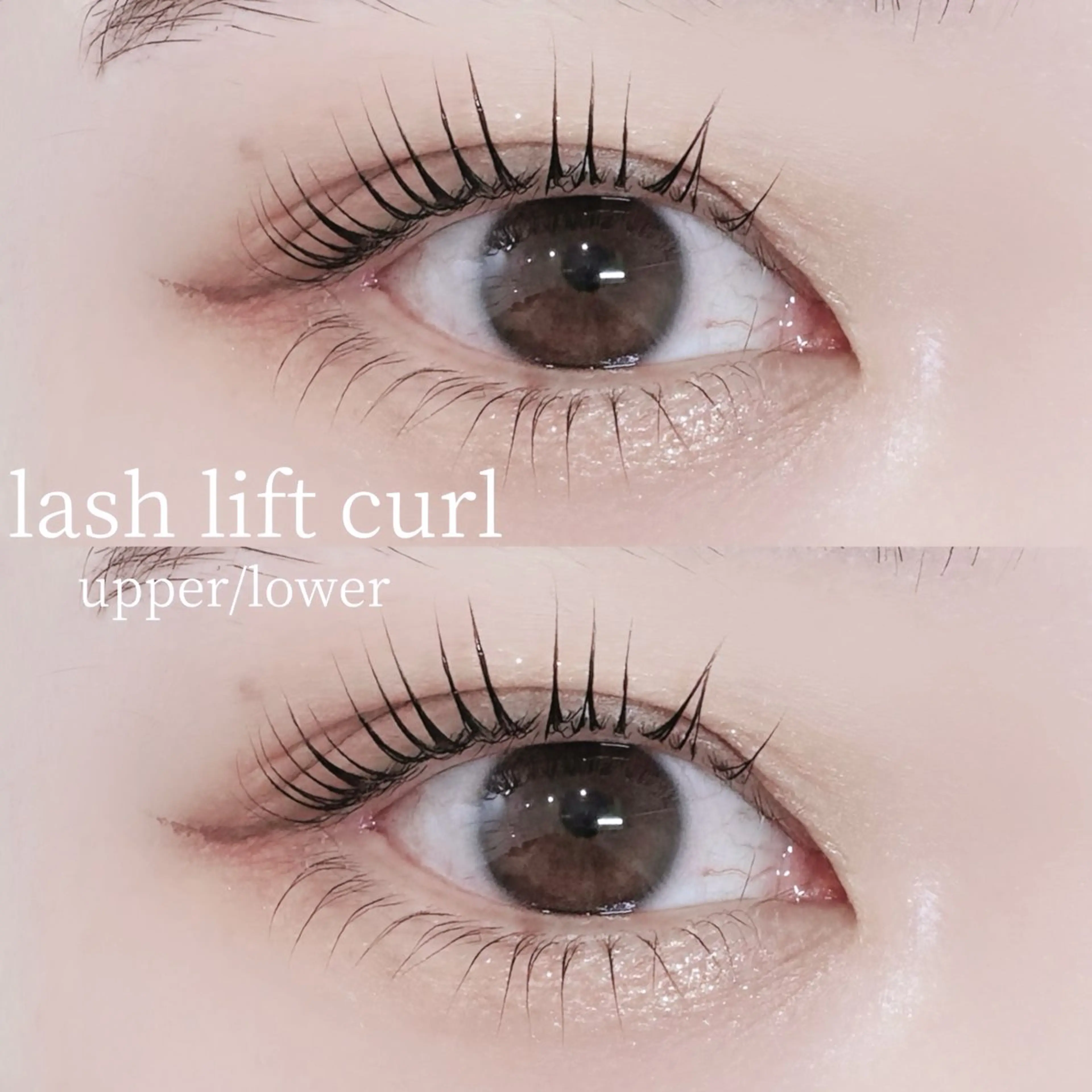 【パーマ】パリジェンヌラッシュリフト上下の写真