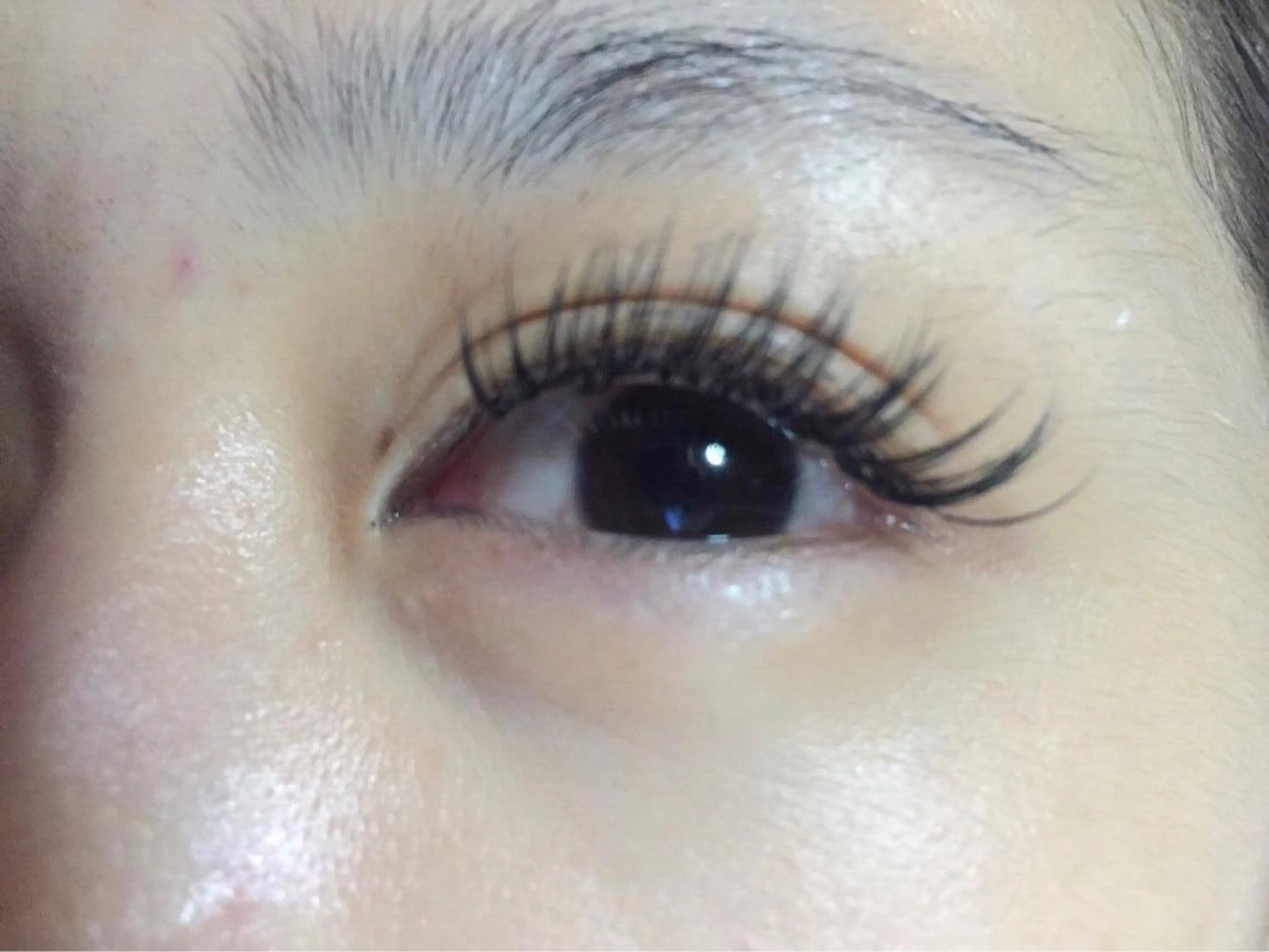 マツエク・マツパ 🤎ベージュカラー 🐶メンズパーマのヘアスタイル