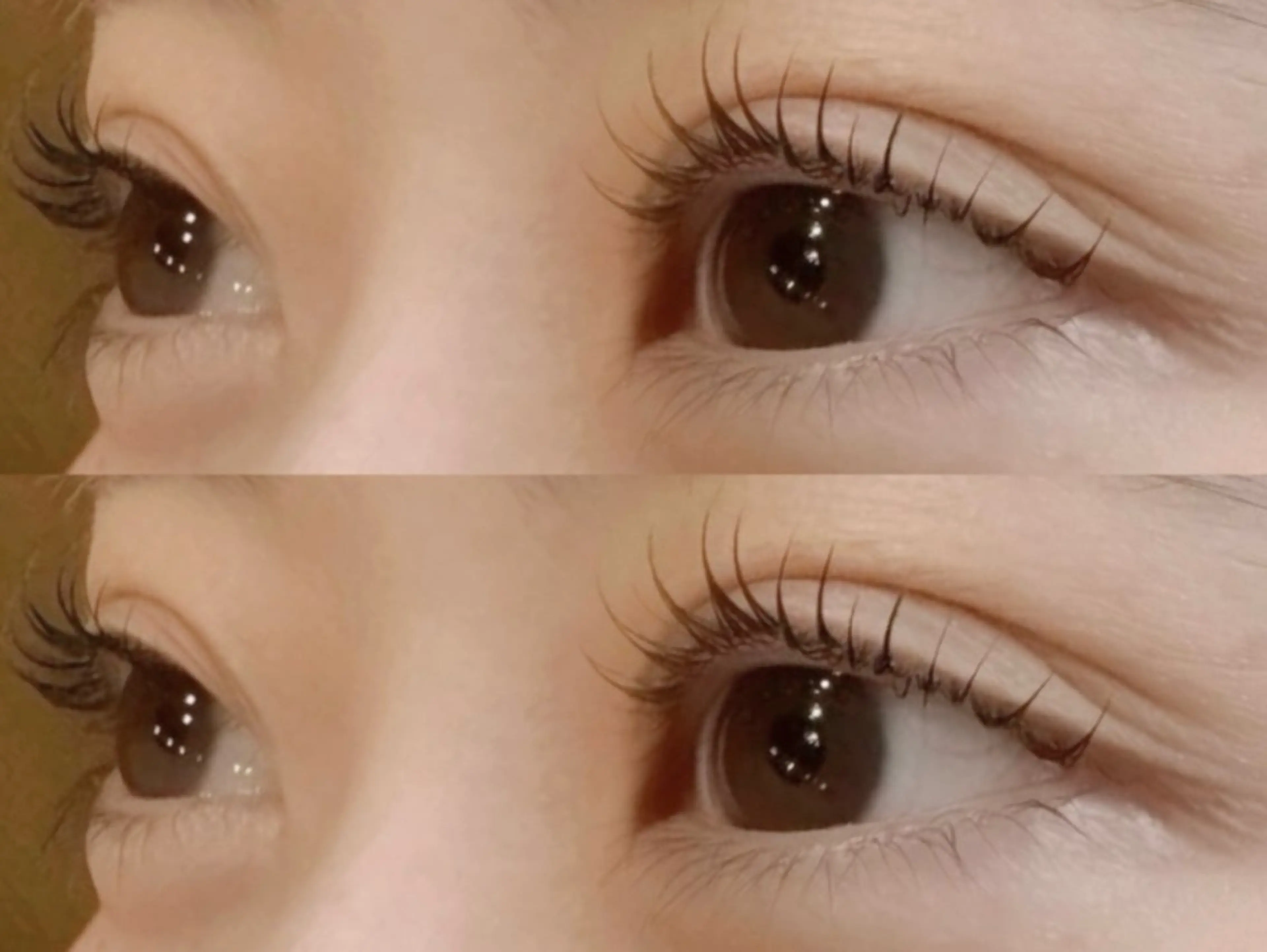 🪽 Lash lift（上まつげパーマ）の写真