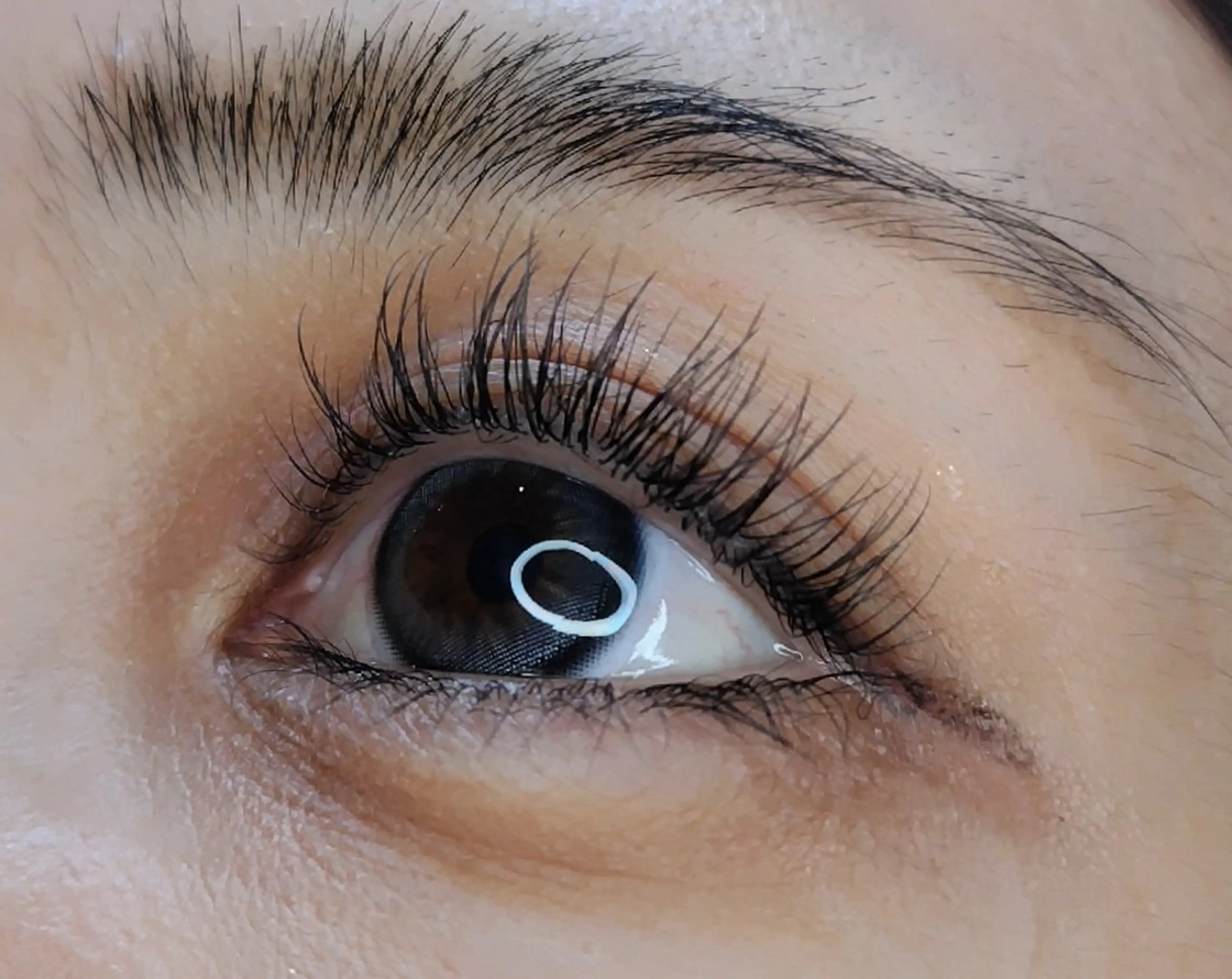 マツエク・マツパ マツエク MAXまつ毛&  フェイシャルのマツエク・マツパデザイン