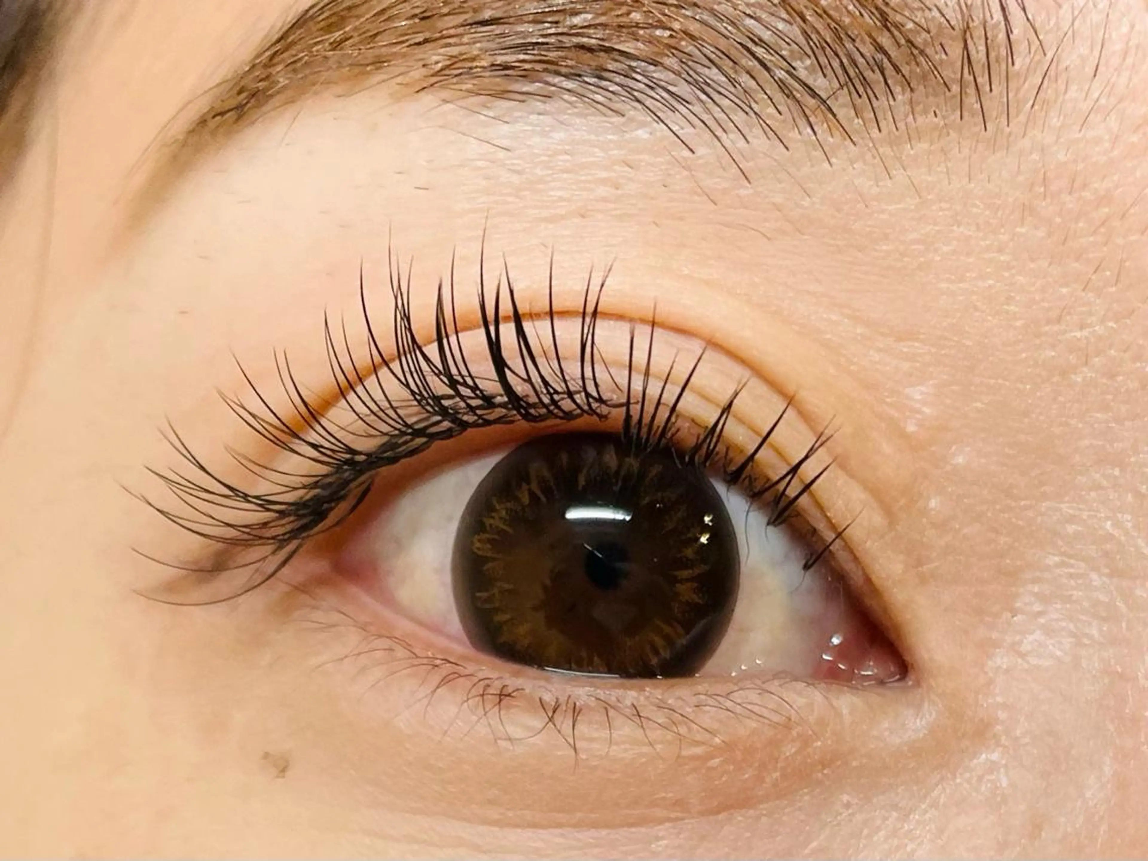 マツエク・マツパ フラットラッシュ マツエク Ravicils【ラヴィシル】所属・宮永あゆ まつげパーマ/美眉のマツエク・マツパデザイン