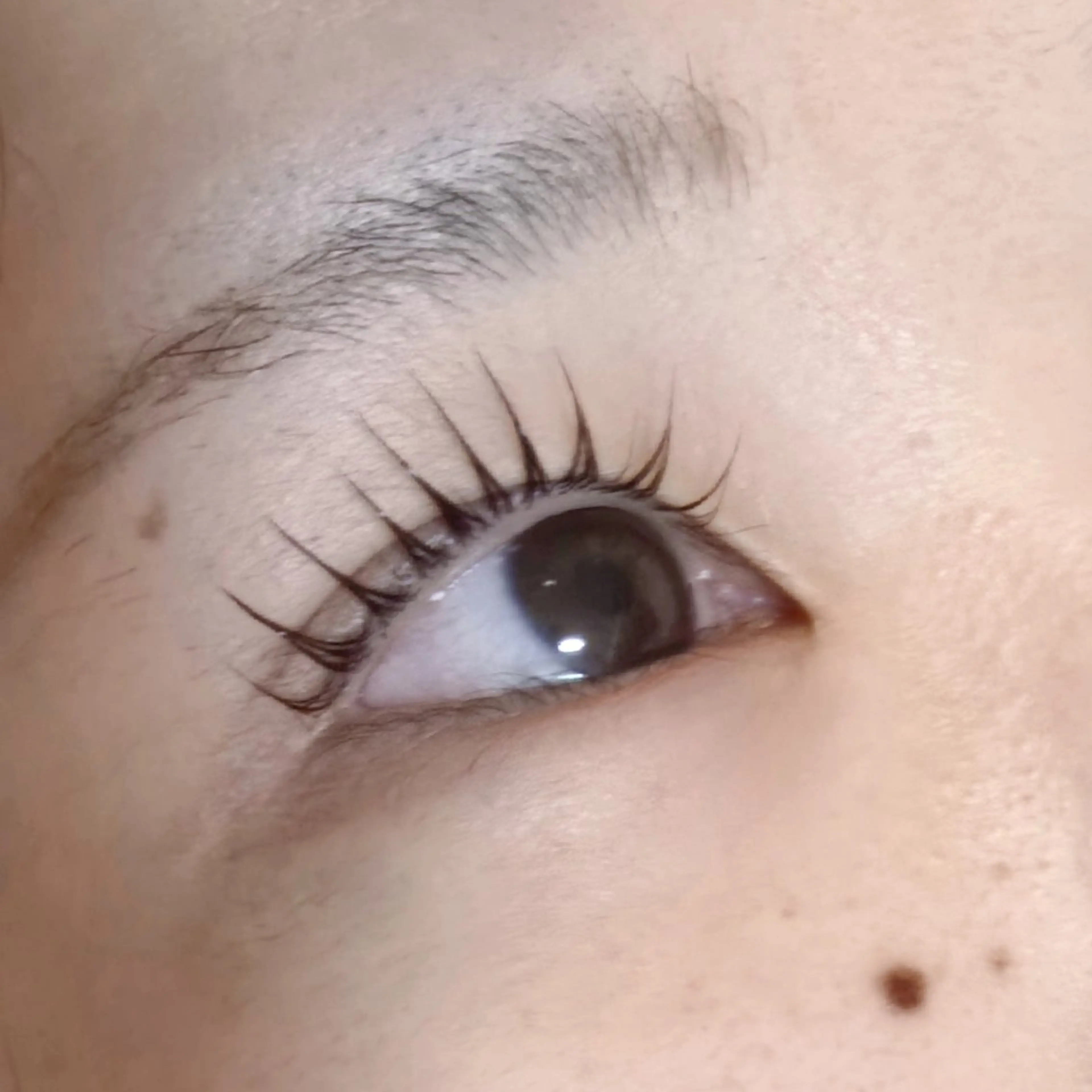 マツエク・マツパ マツパ マリーテレジア NAGATSUNAのマツエク・マツパデザイン