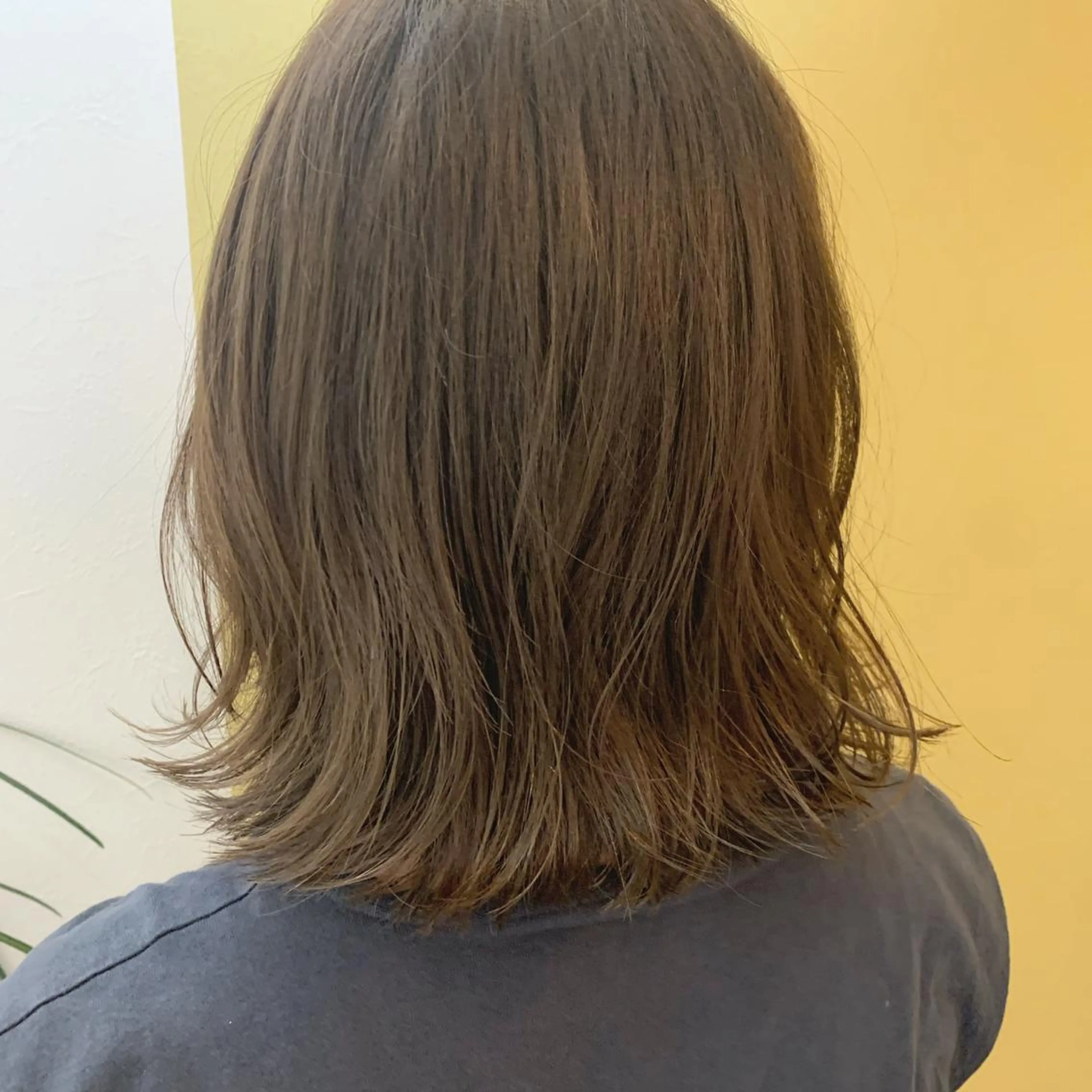 ショート カラー アッシュ ベージュカラー ブリーチ 透明感カラー ブリーチなしカラー カット ヘアカラー トリートメント hub hair レイヤー/透明感のヘアスタイル