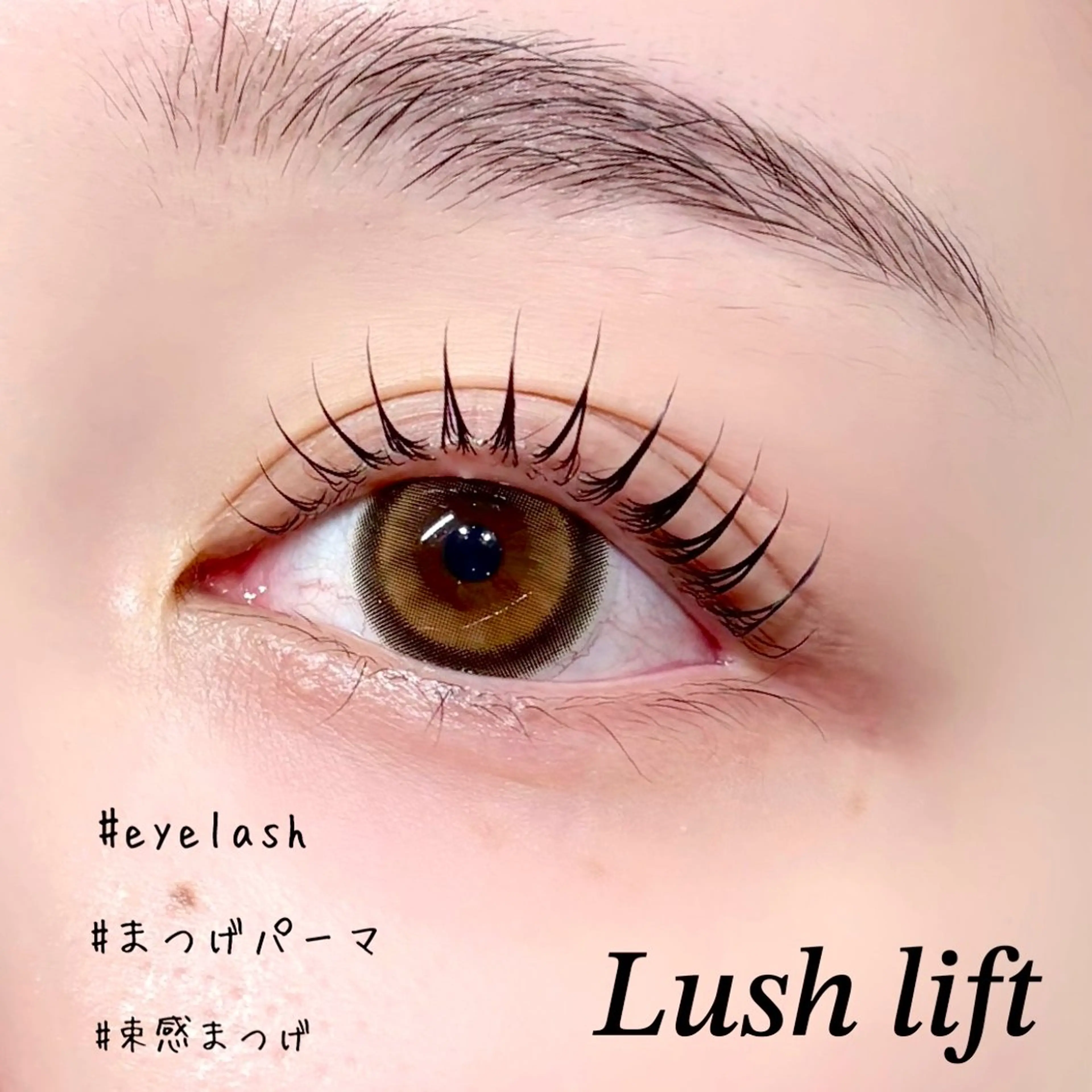 マツエク・マツパ ナチュラル sol soraのマツエク・マツパデザイン