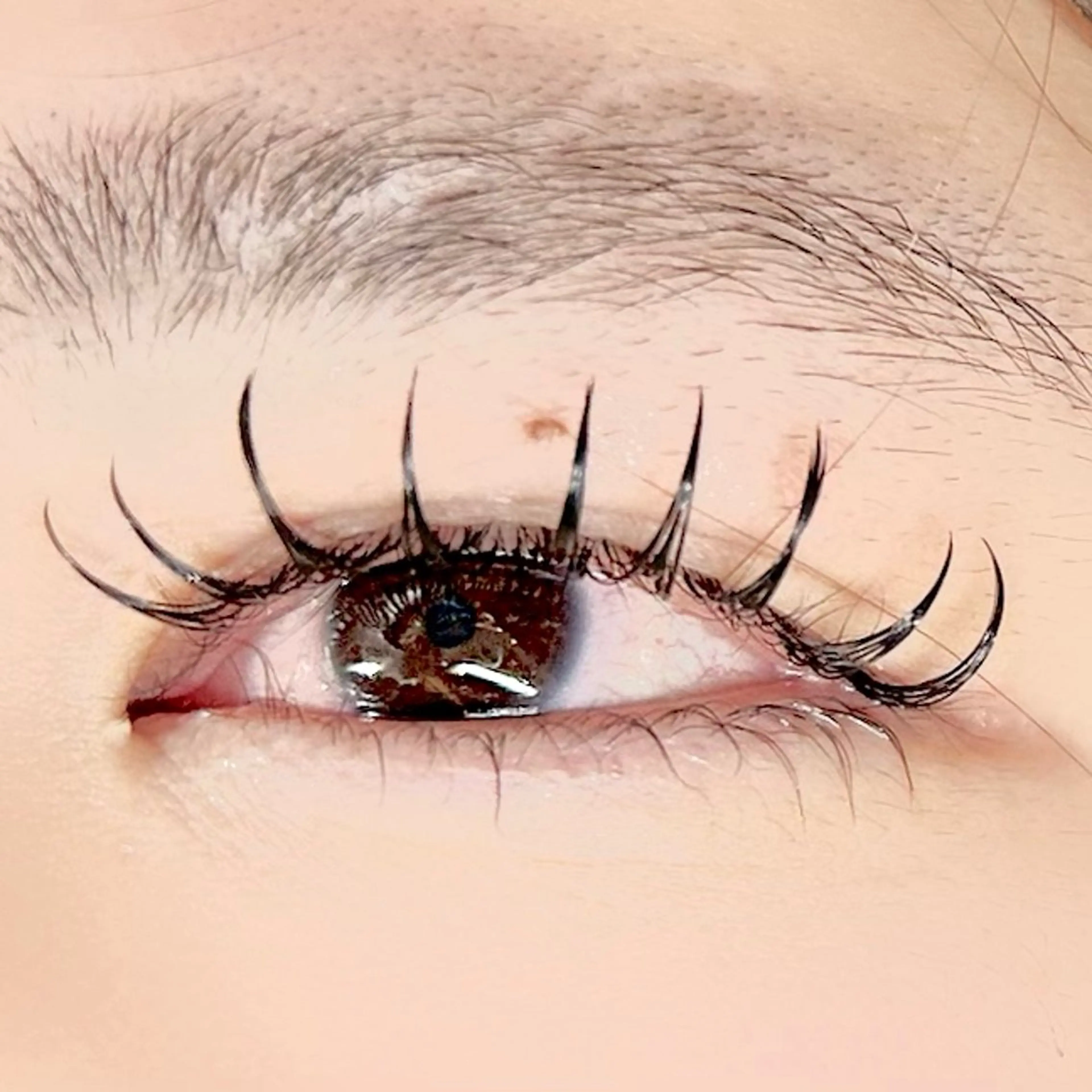 マツエク・マツパ Dカール マツエク soposilma 🧸今季OPENのマツエク・マツパデザイン