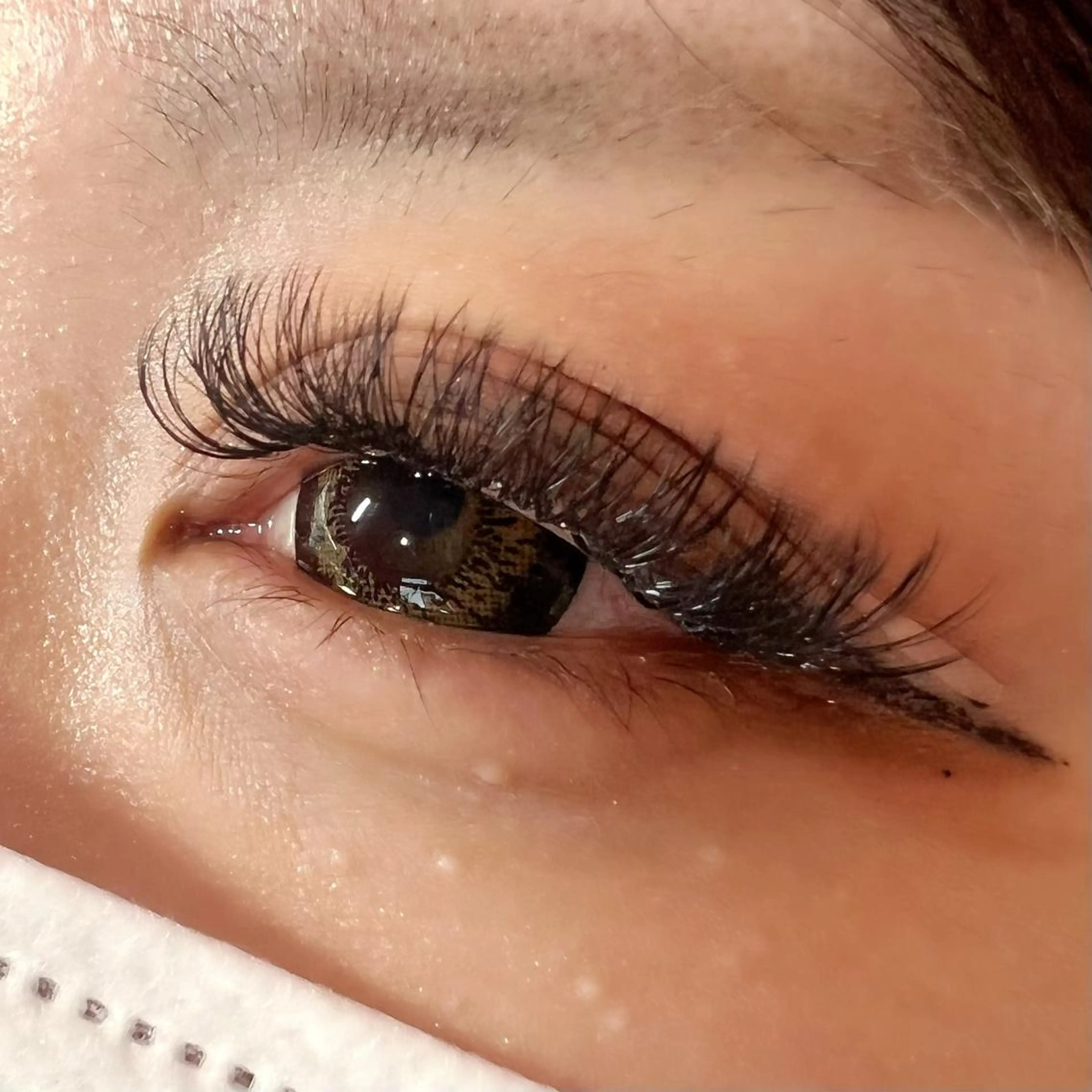 マツエク・マツパ ボリュームラッシュ Celeste Venus所属・🧸Celeste Venusのマツエク・マツパデザイン