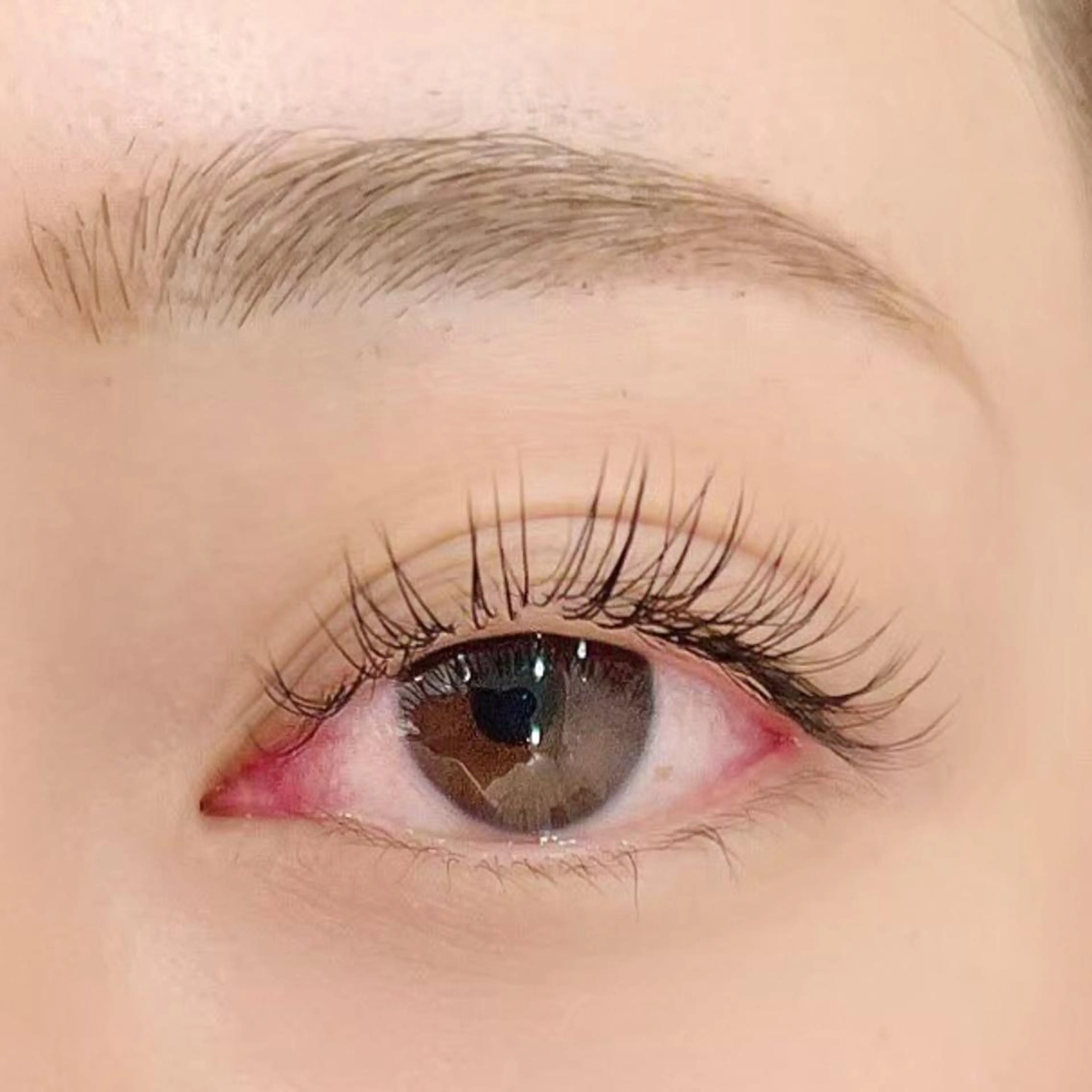 初回オフ無料🍒【シングルラッシュ80本迄】×🩶コーティングorアイシャンプー付き🩶✨の写真