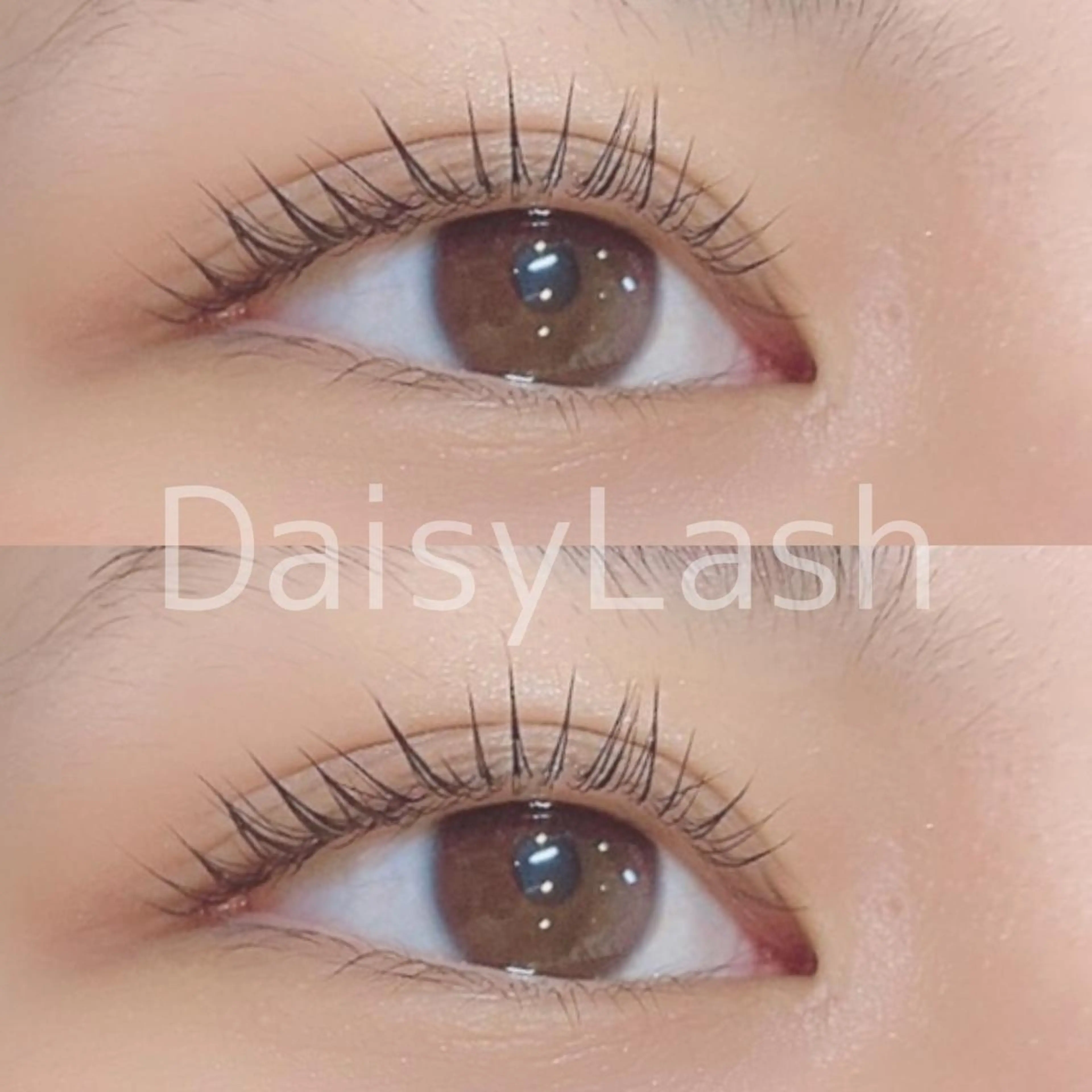 マツエク・マツパ DaisyLash 京橋店のマツエク・マツパデザイン