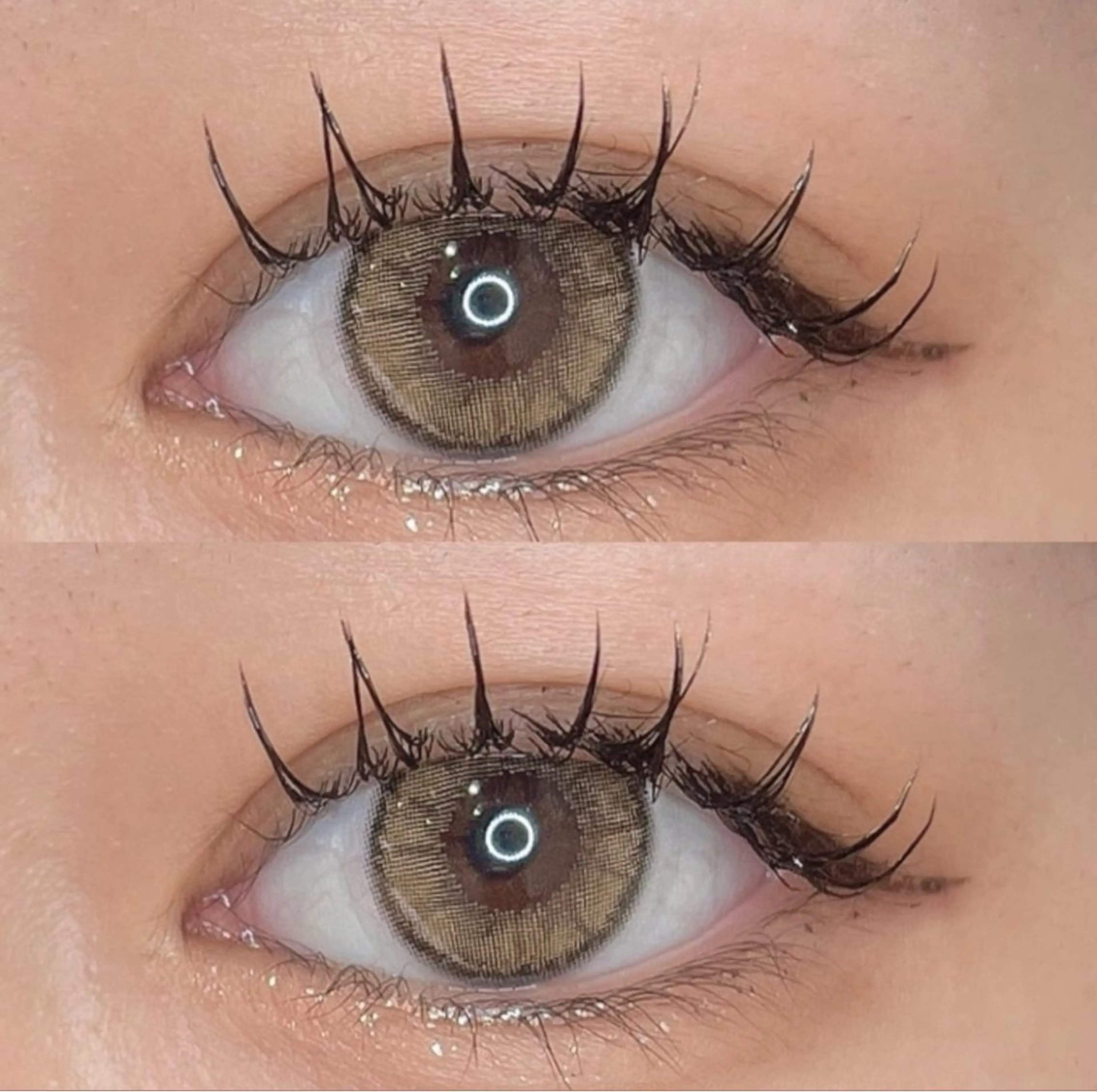 🎊12月限定価格🎊マツエク100本まで付け放題コーティングトリートメント込み🎁の写真