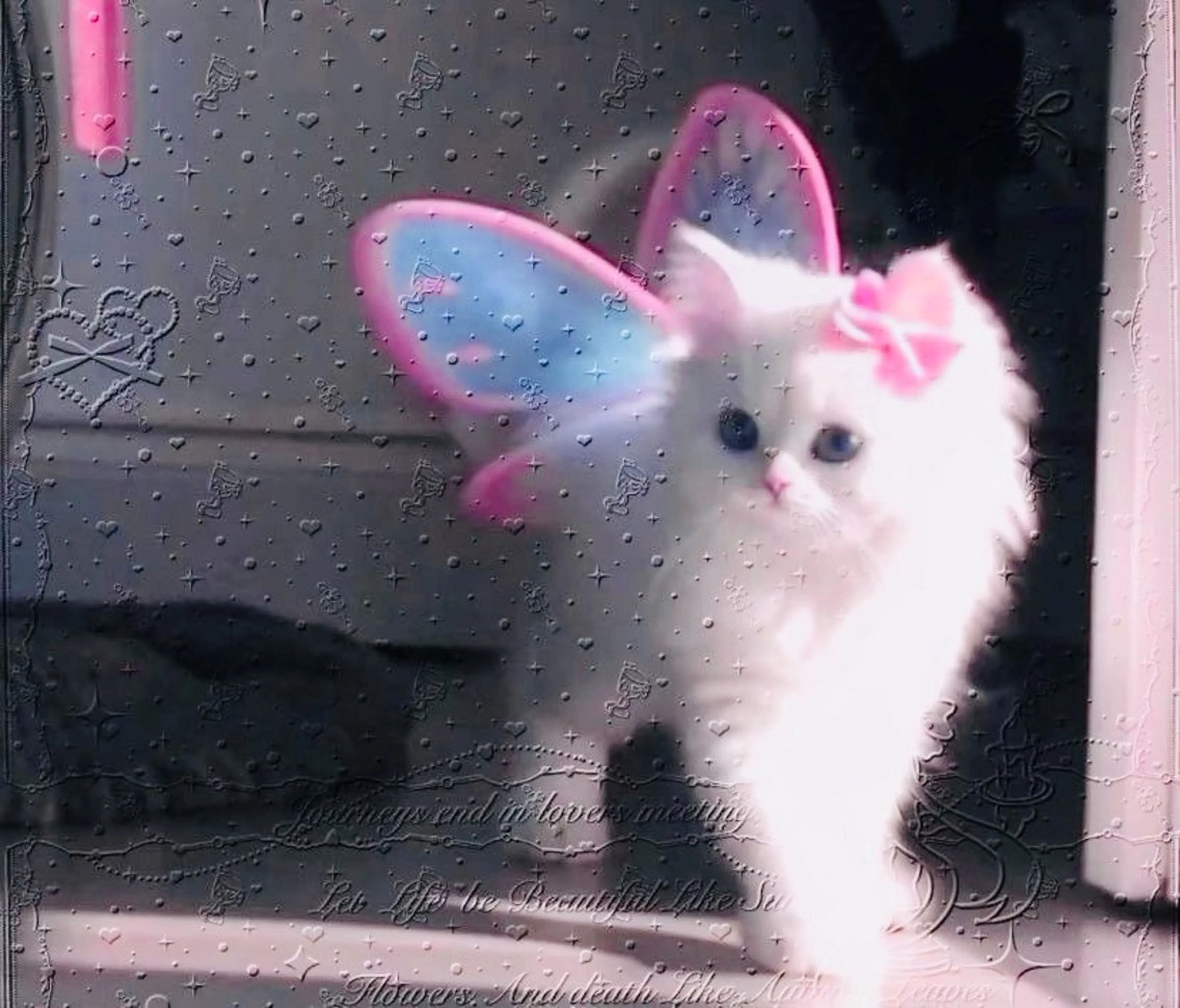 マツエク・マツパ eyelist. mizuki🐈⬛の眉毛・アイブロウイメージ