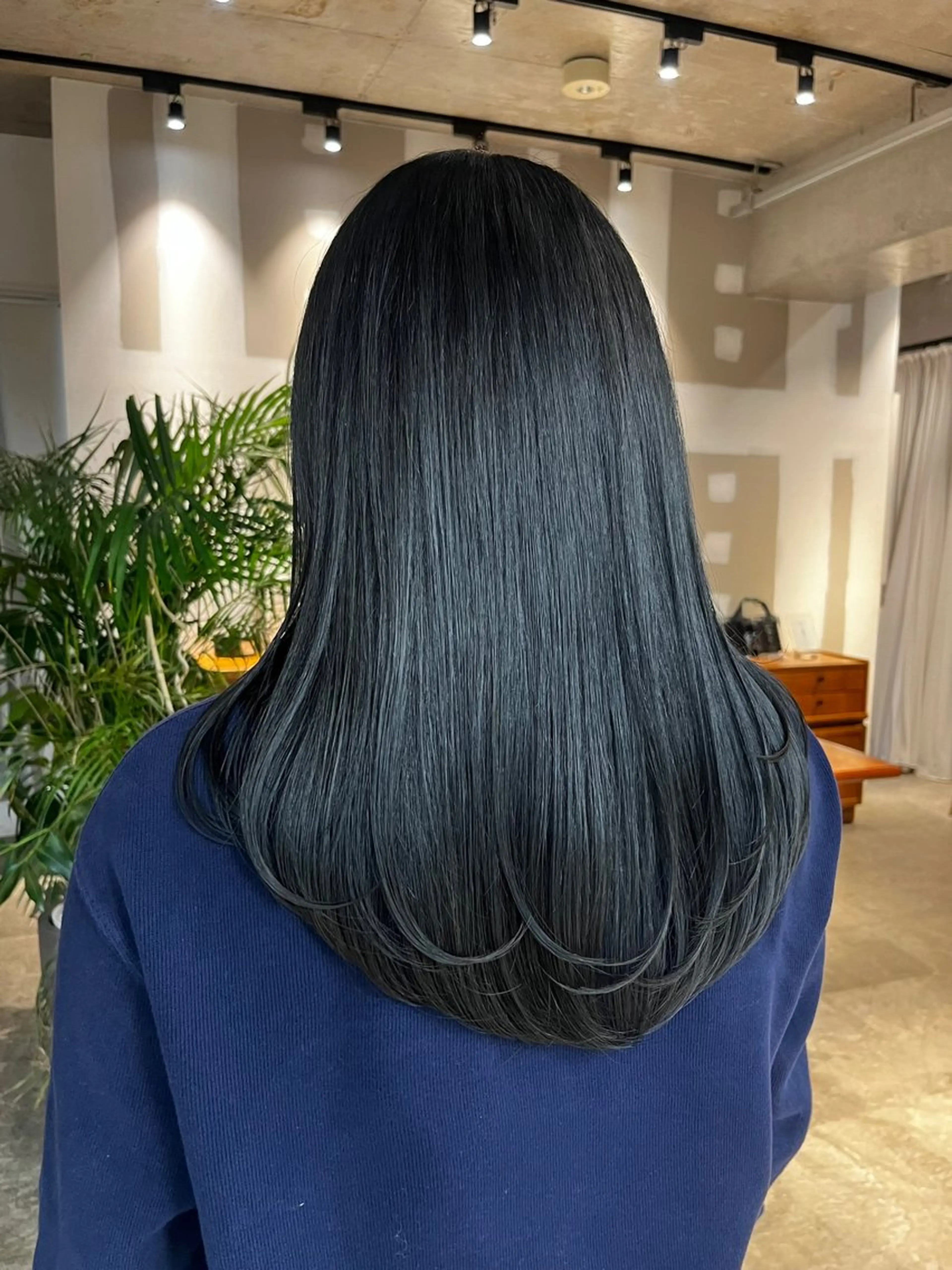 カラー ヘアカラー ウルフとデザイン カラーの神のヘアスタイル